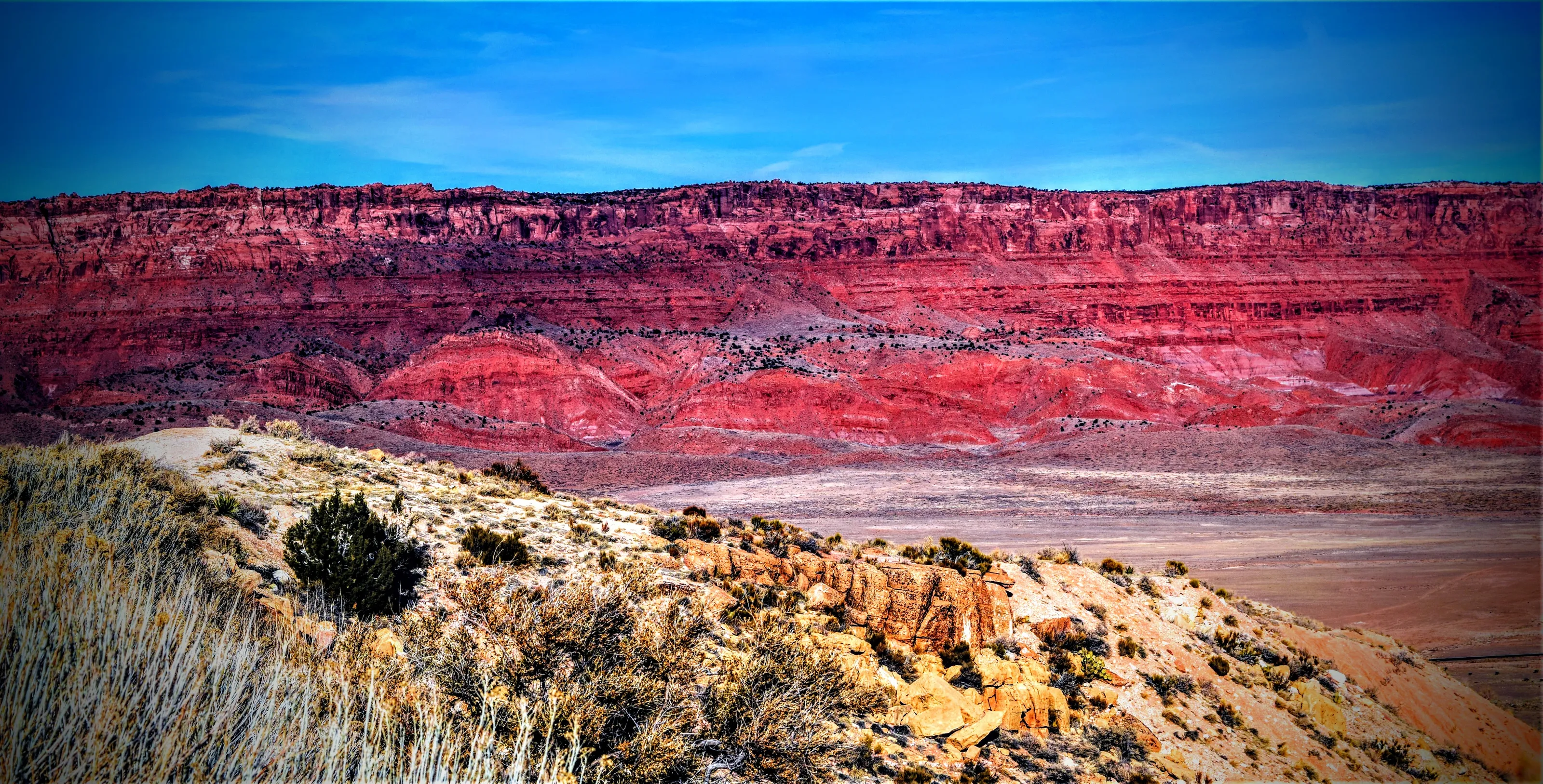 The American Southwest