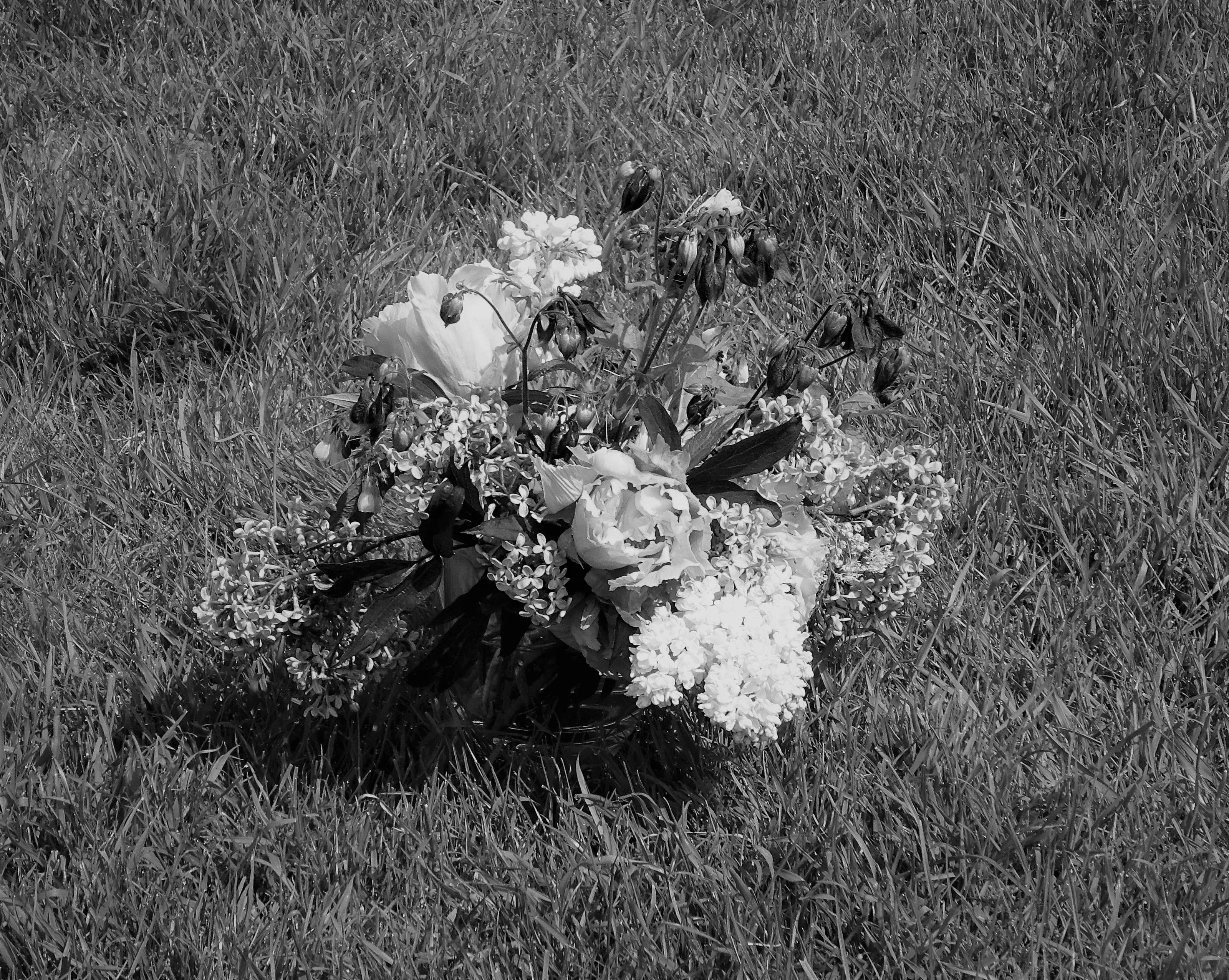 Still Life in Black and White