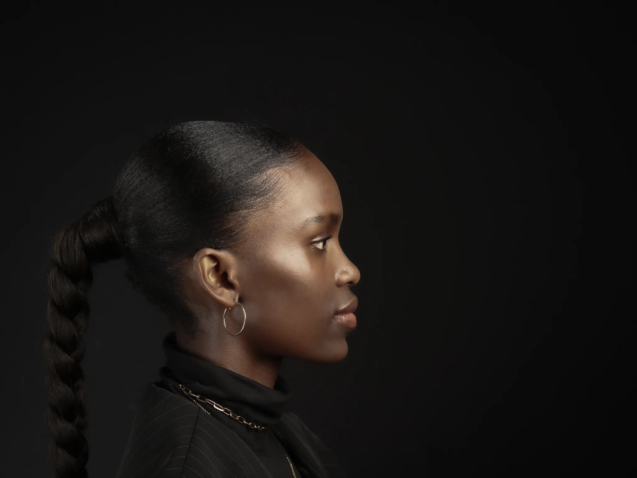 Human Portraits in Profile
