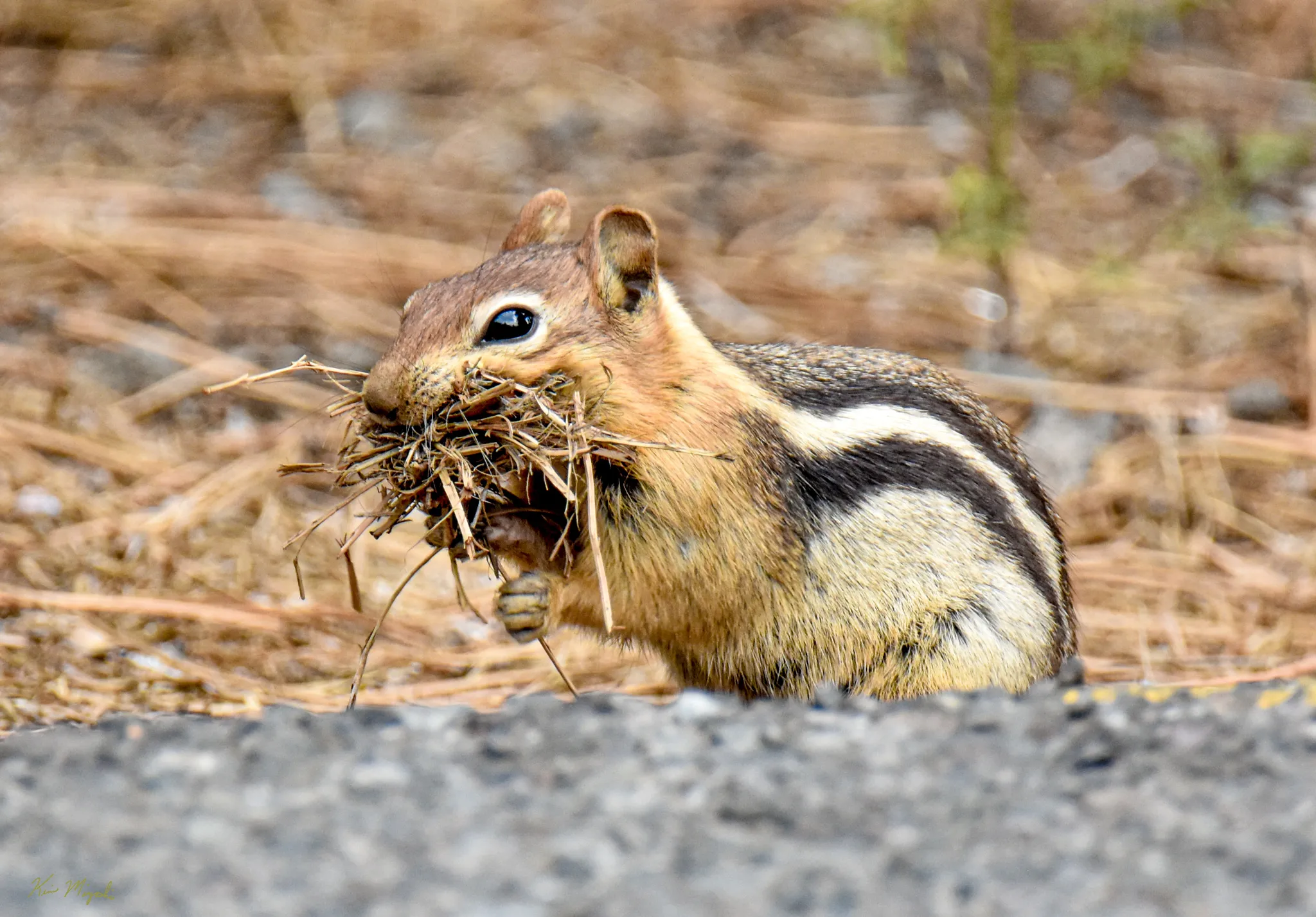 A Mouthful