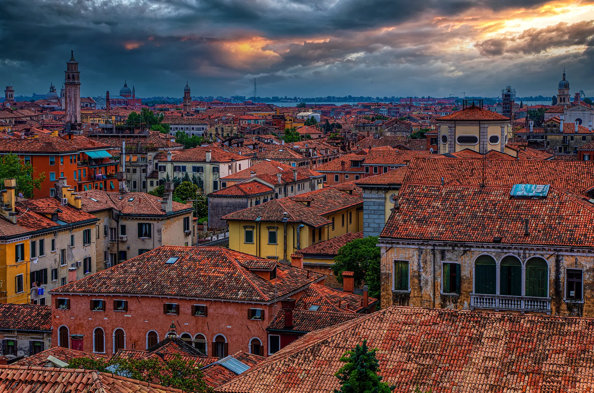 Above the Roofs