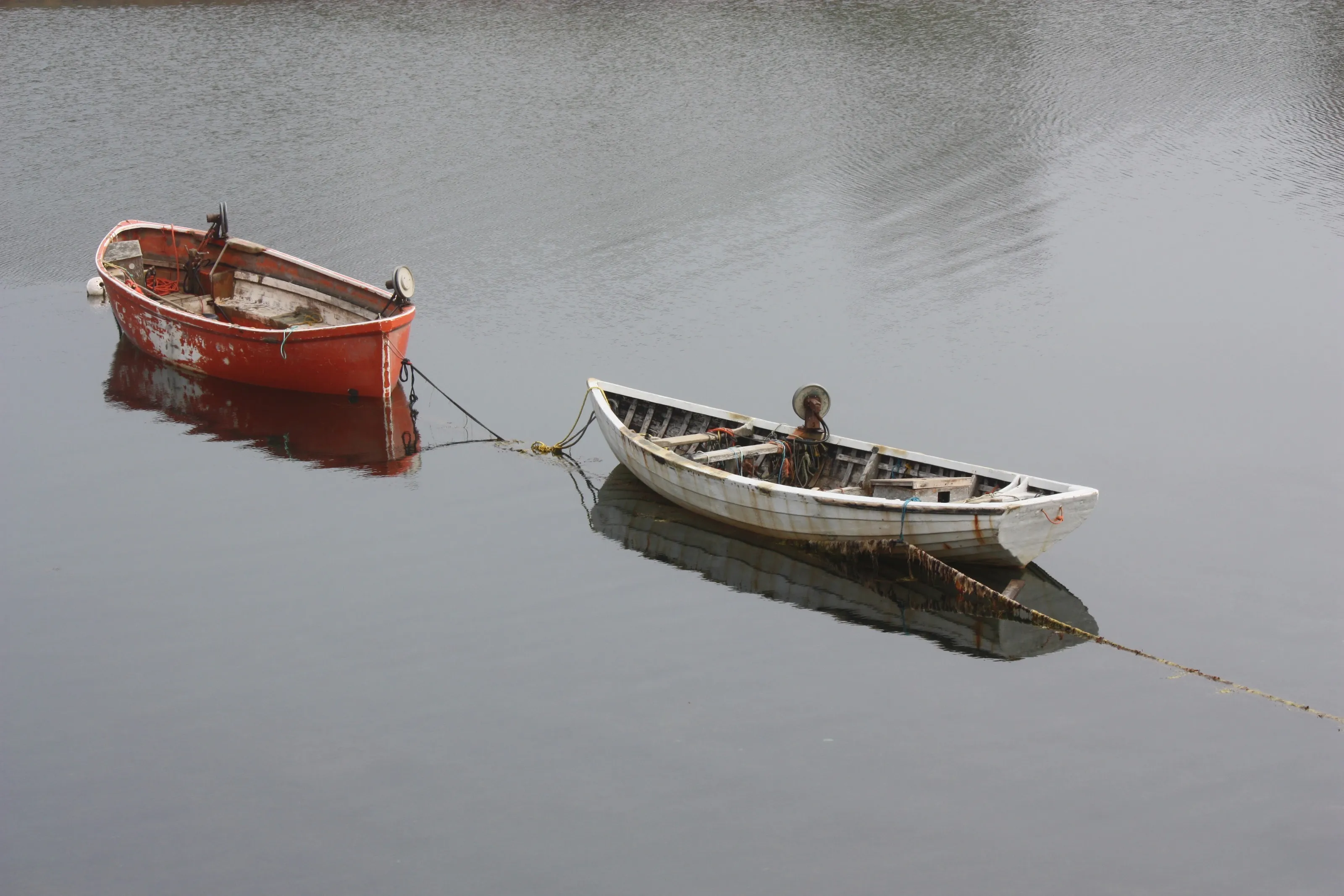 Reflections in Water