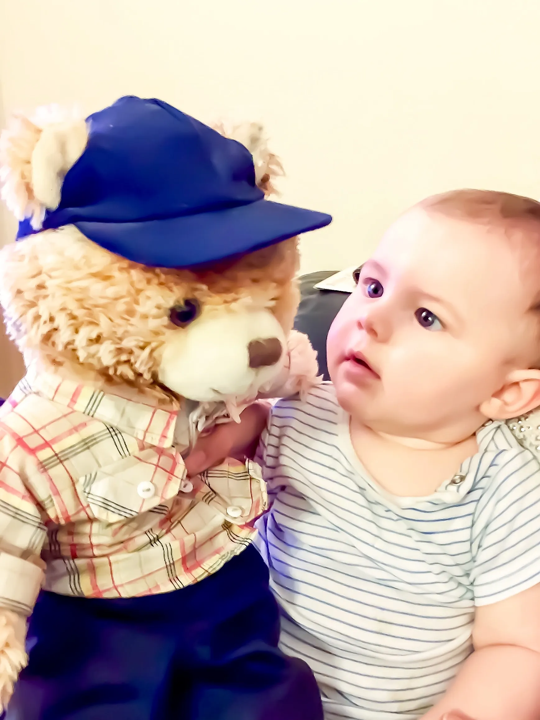 Children with Soft Toy Animals