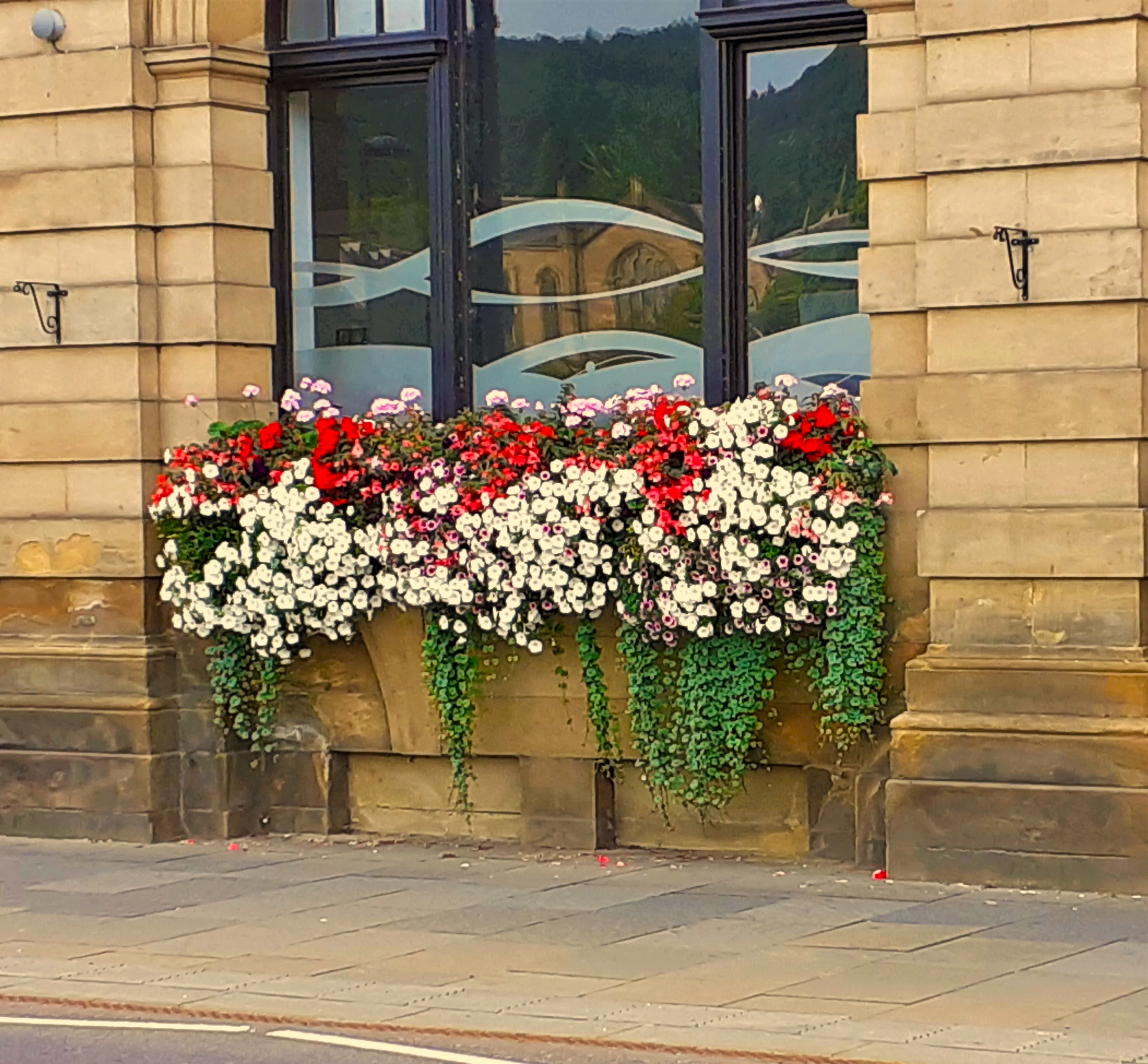 Window Boxes (in colour)