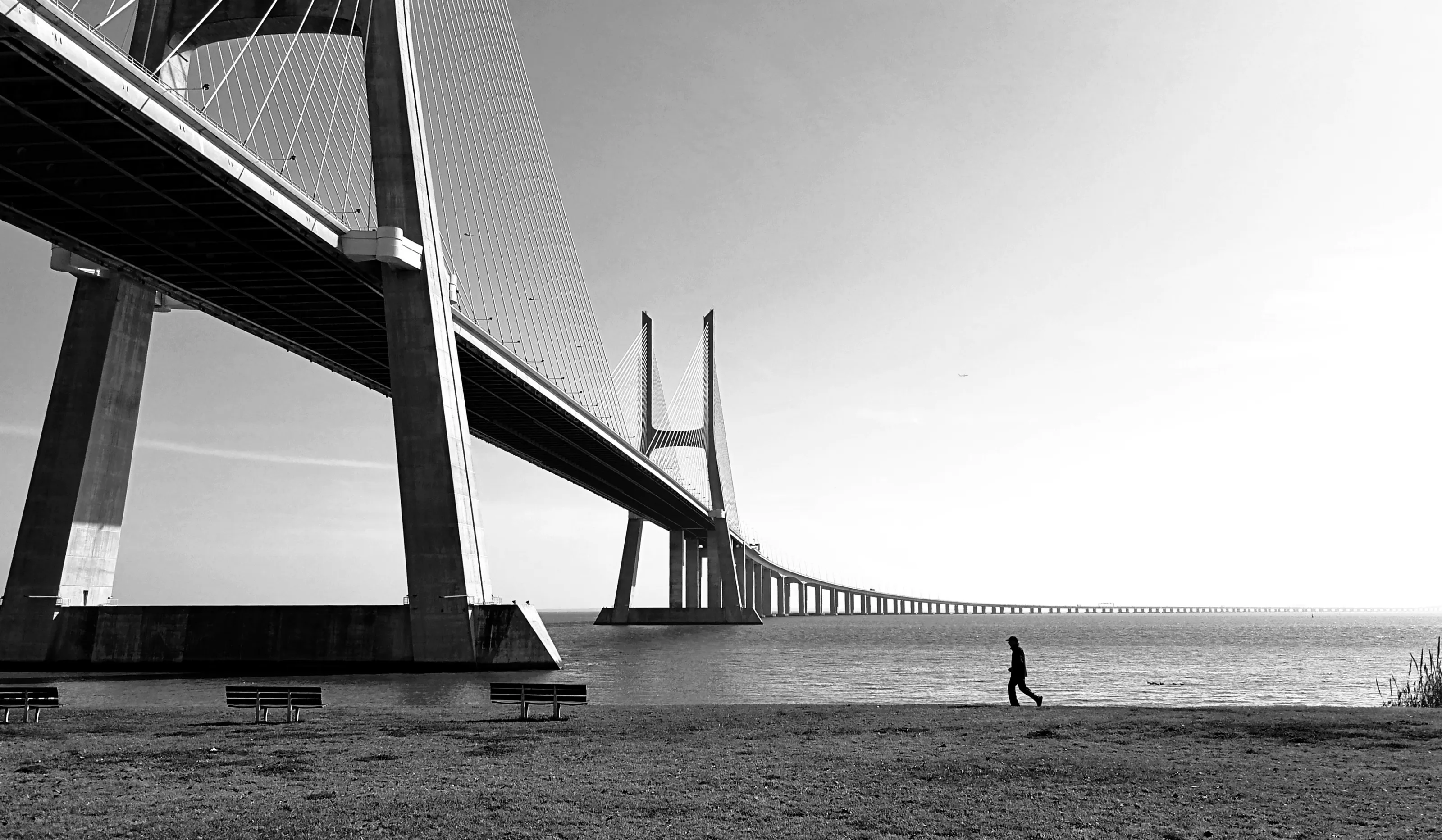Black and White Landscapes