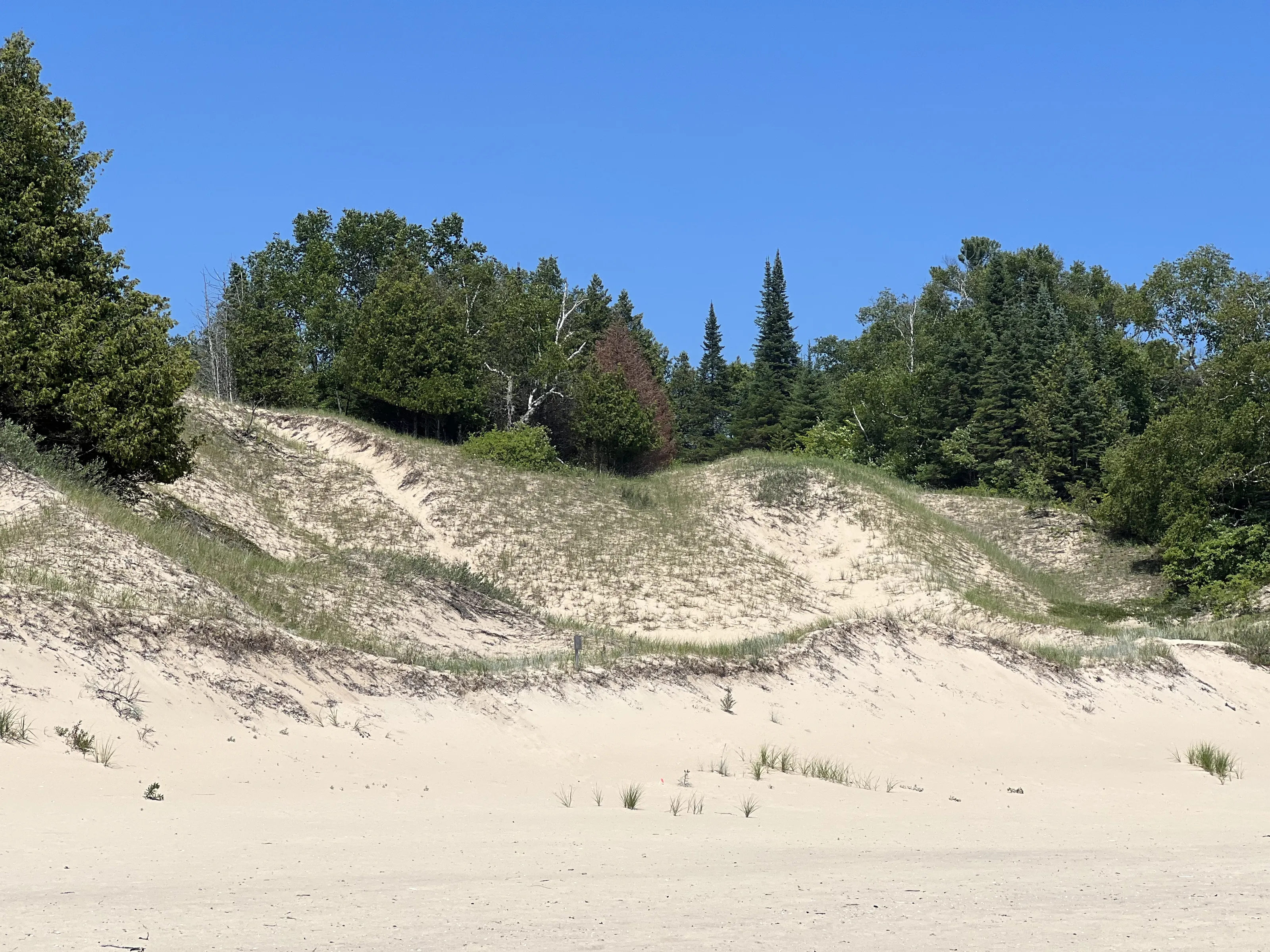 Sand Dunes (in colour)