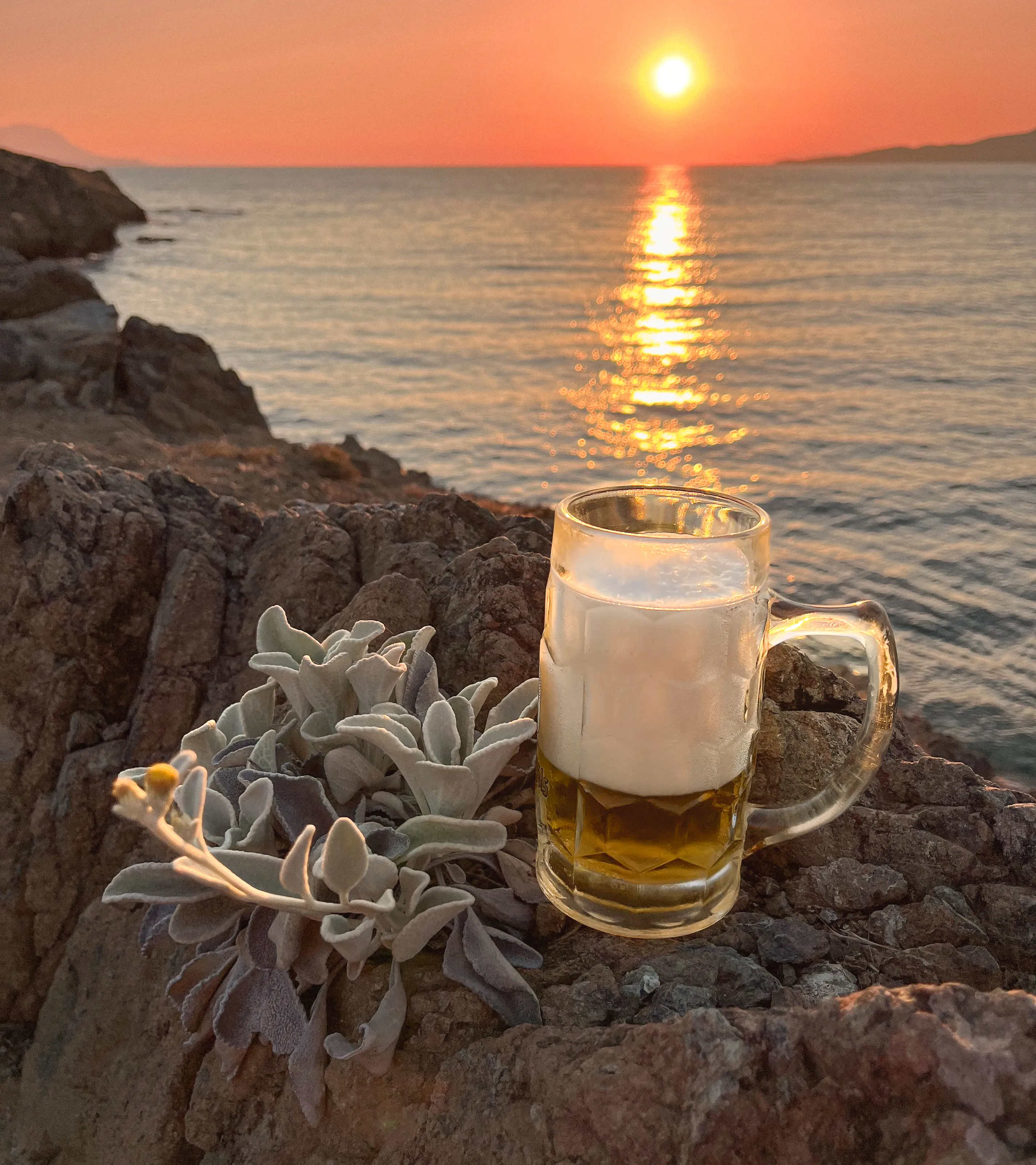 Beverages in a Nice Setting