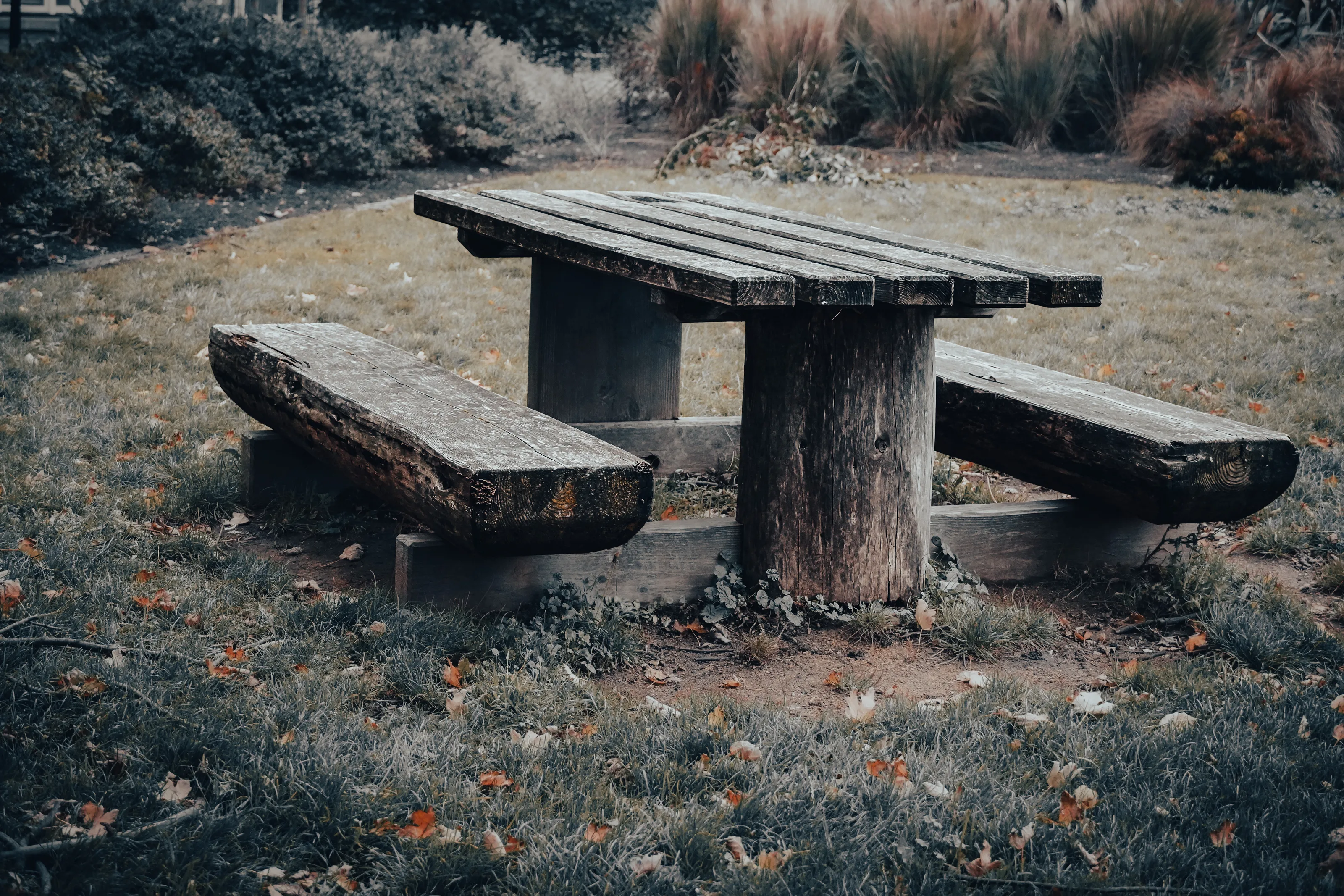 Deserted Picnic Tables
