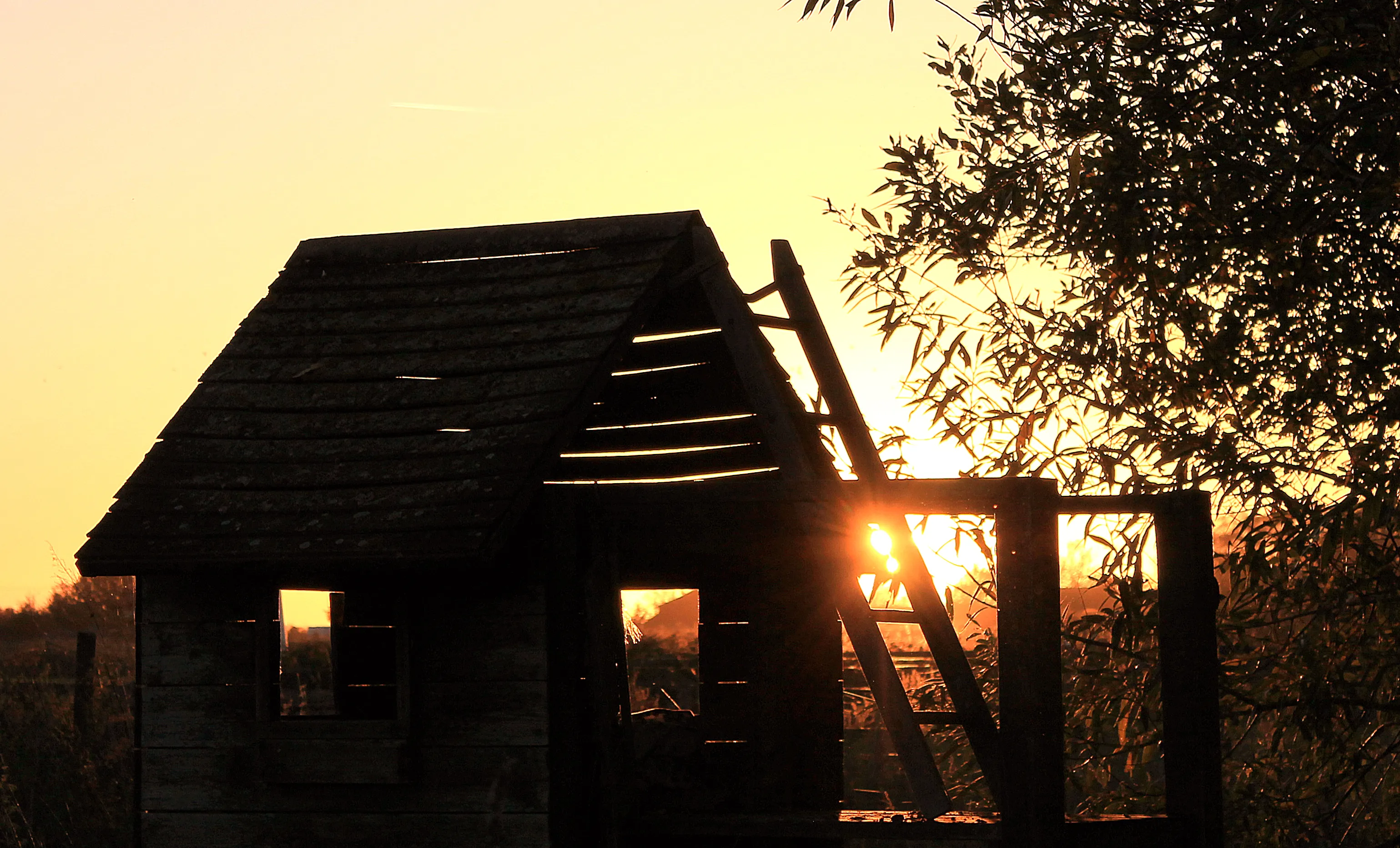 Silhouettes at Sunrise or Sunset
