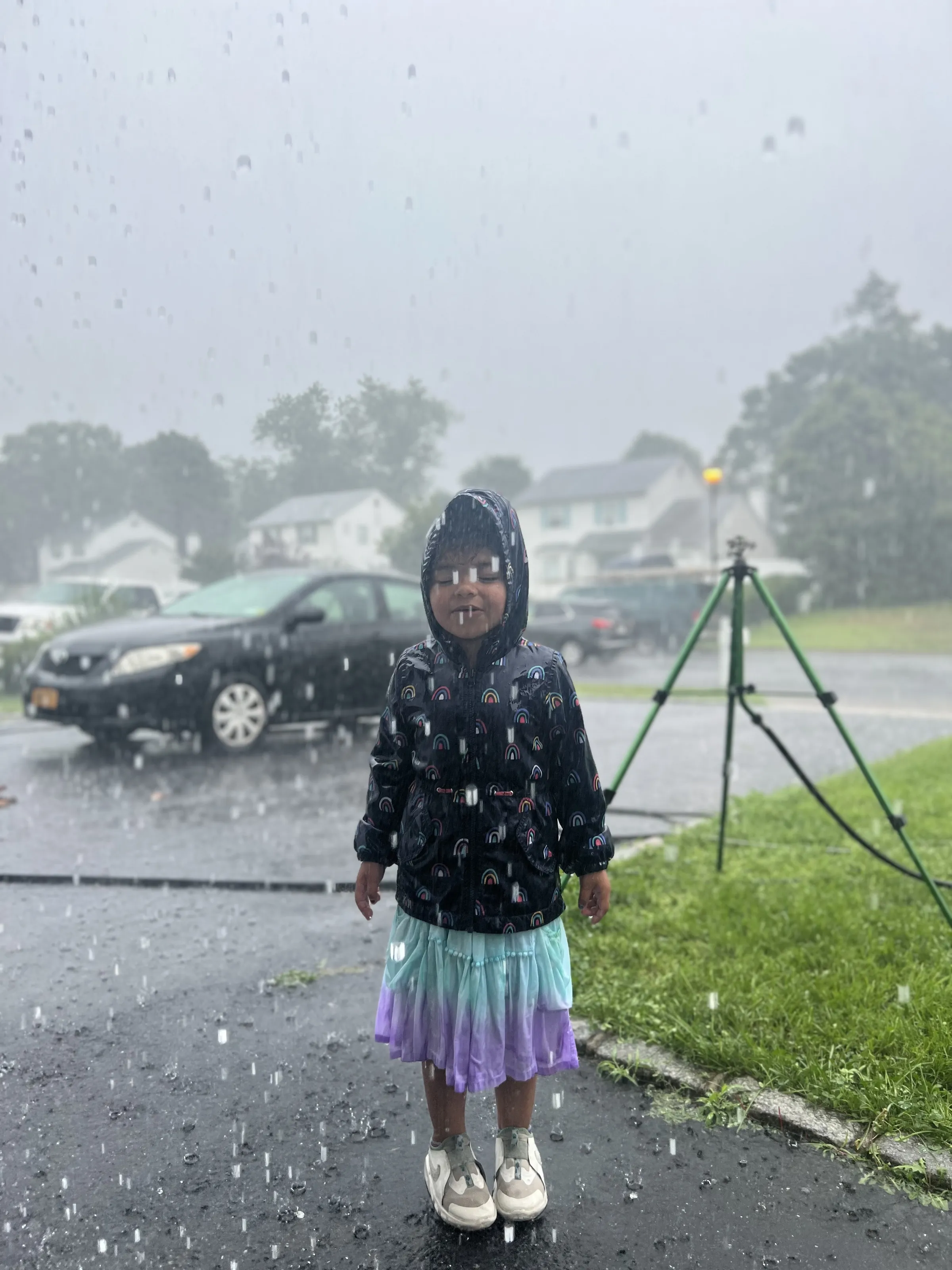People or Animals Getting Wet in the Rain