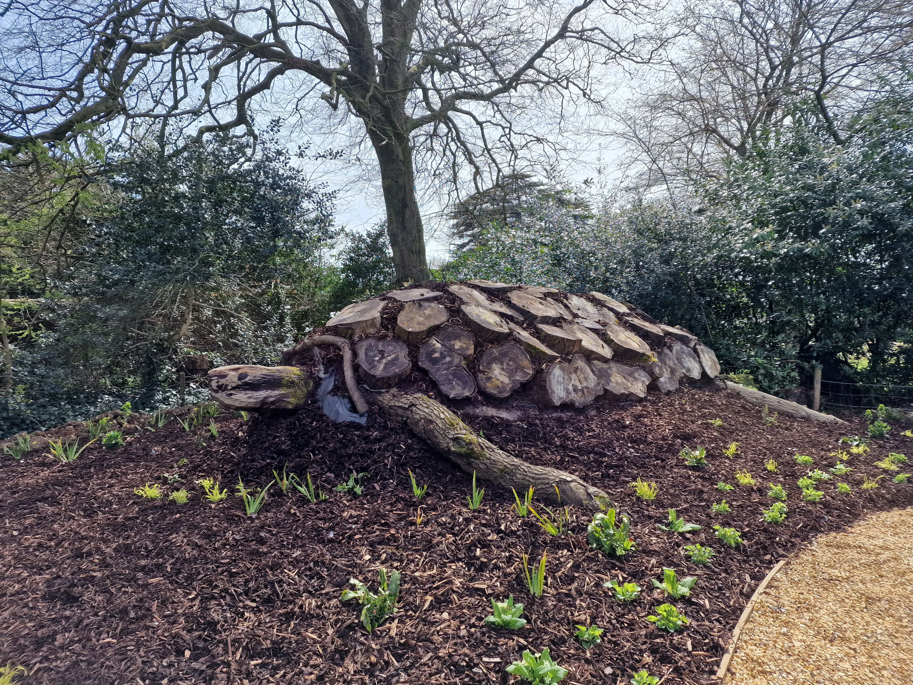 Animal Wood Sculpture with its Surroundings