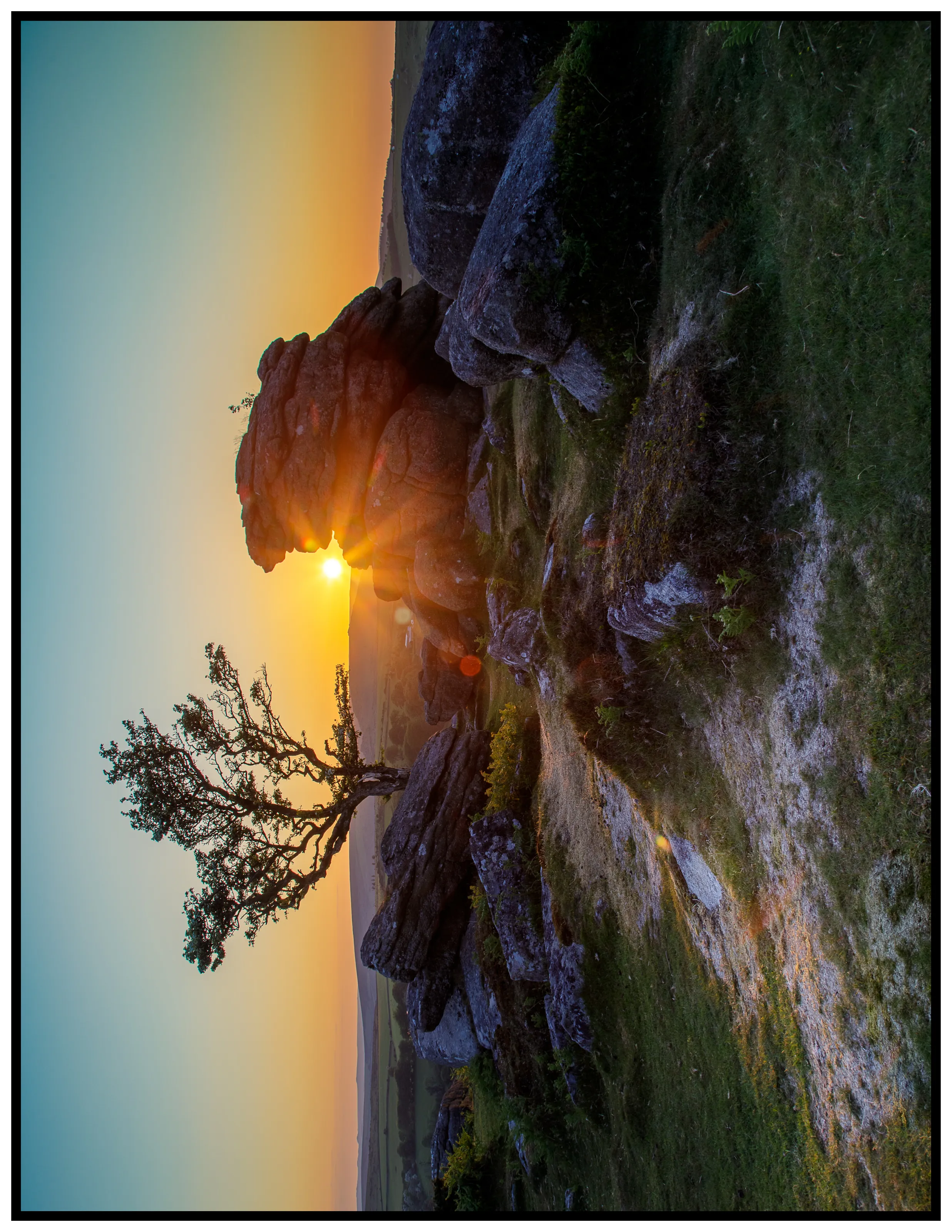 Lone Trees in Rural Locations