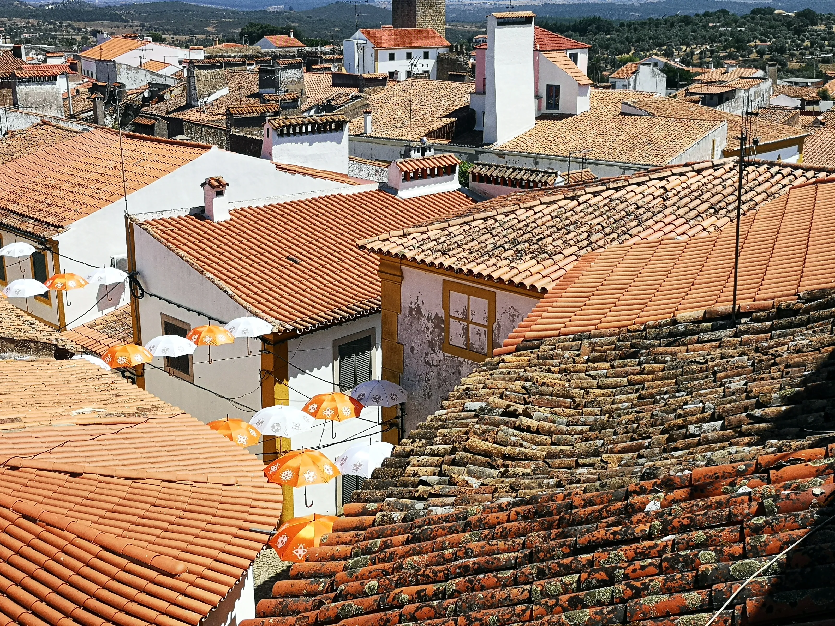 Roofs and Rooftops