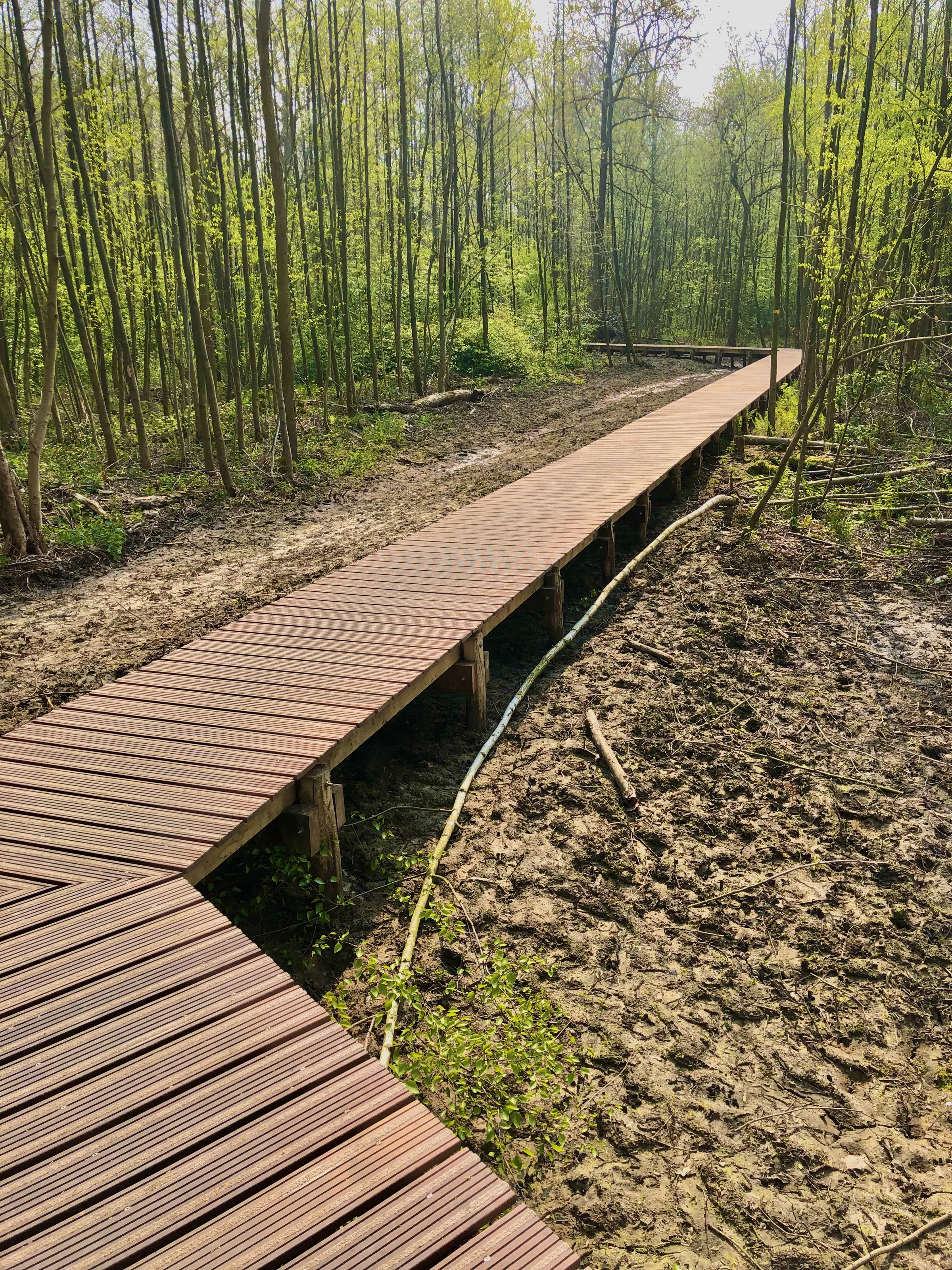 Wooden Boardwalks