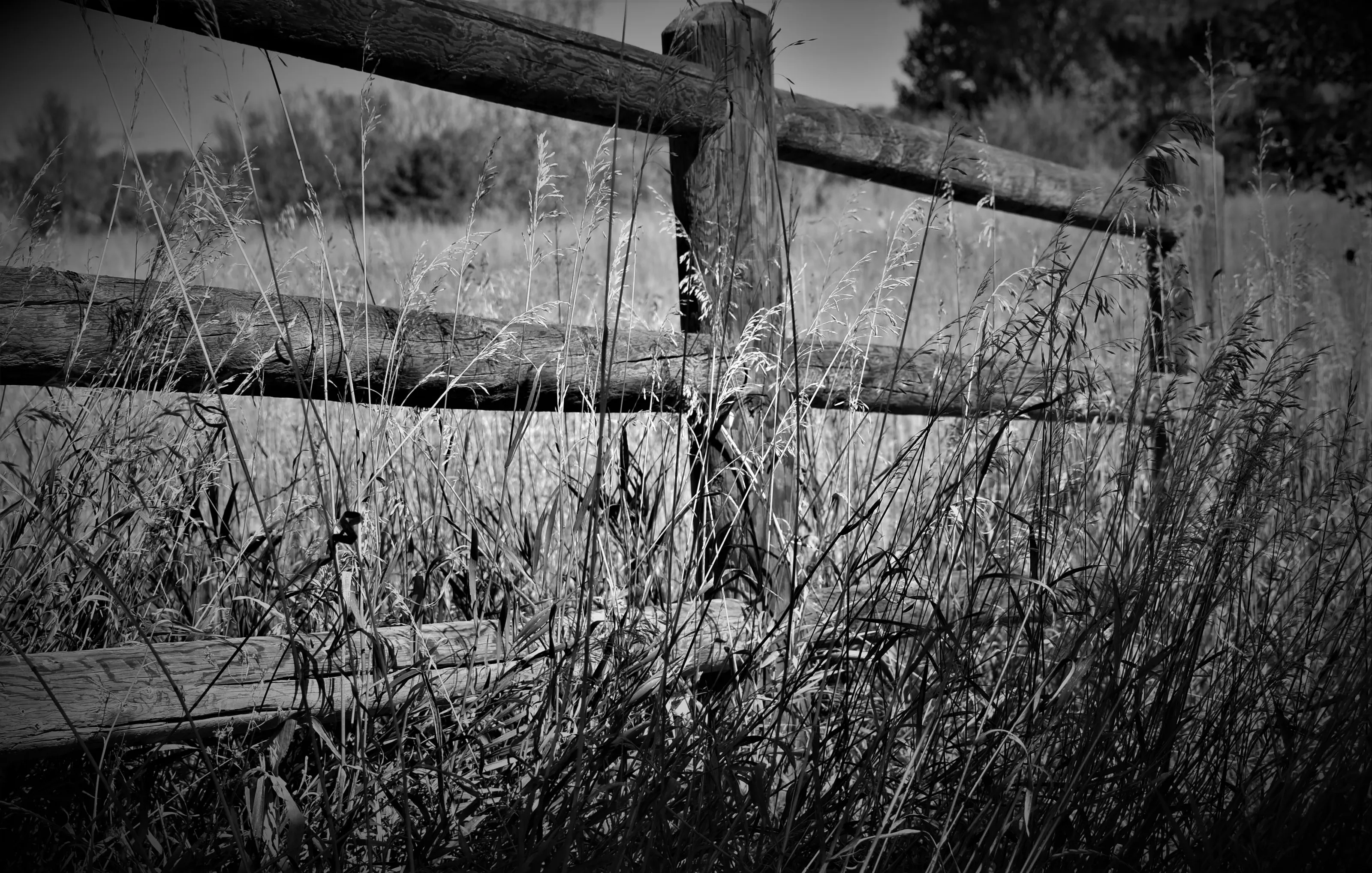 Fences