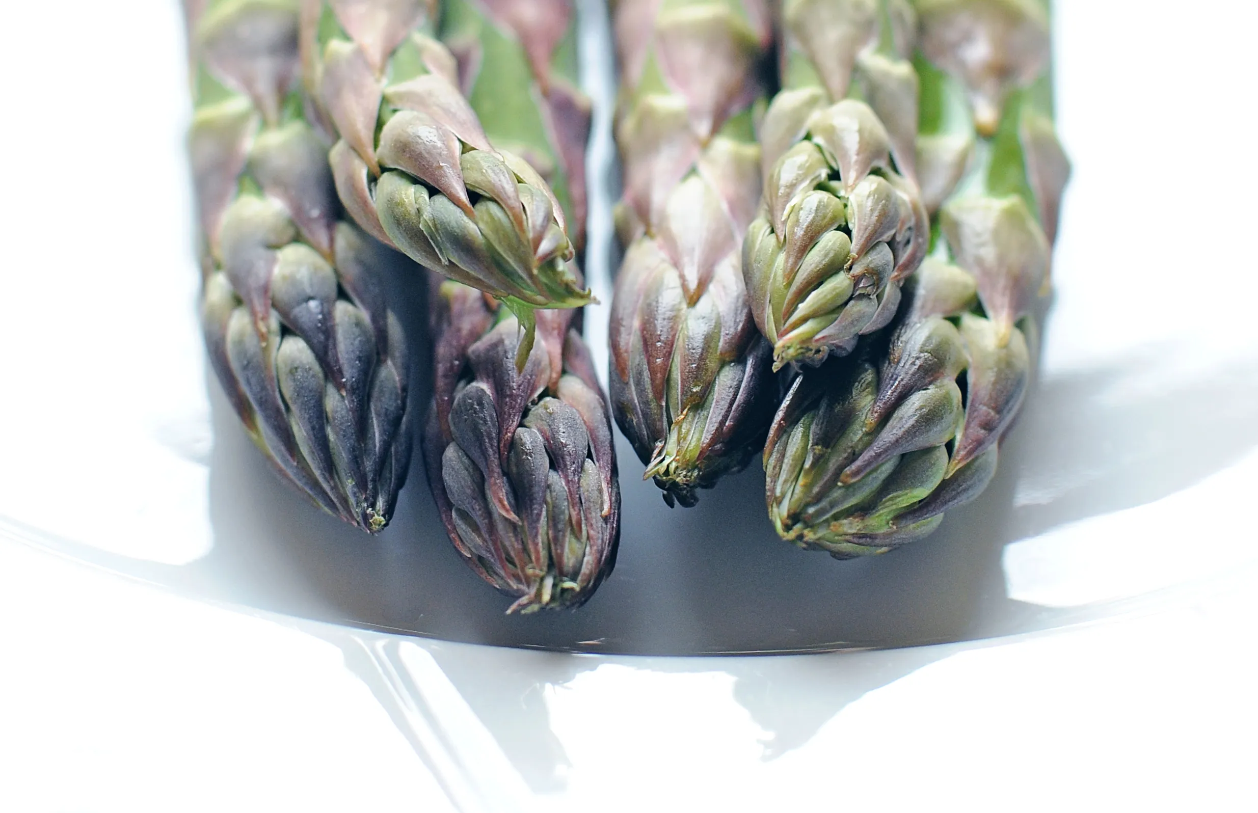 Asparagus