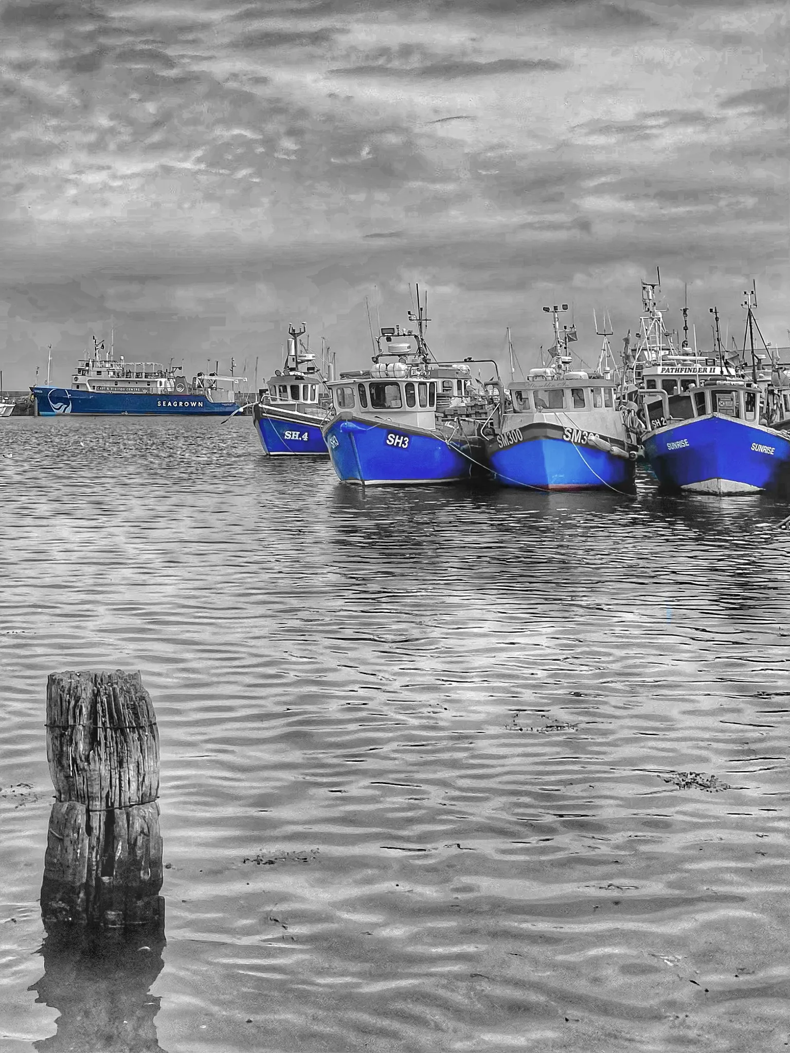 A Touch of the Colour Blue