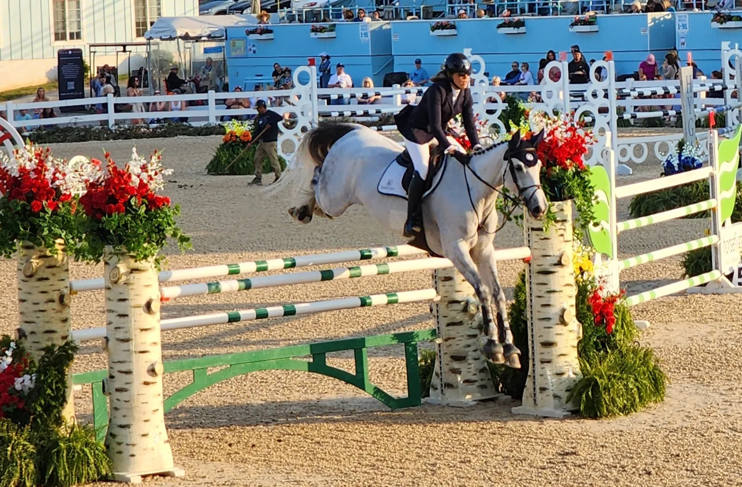 Horse Shows