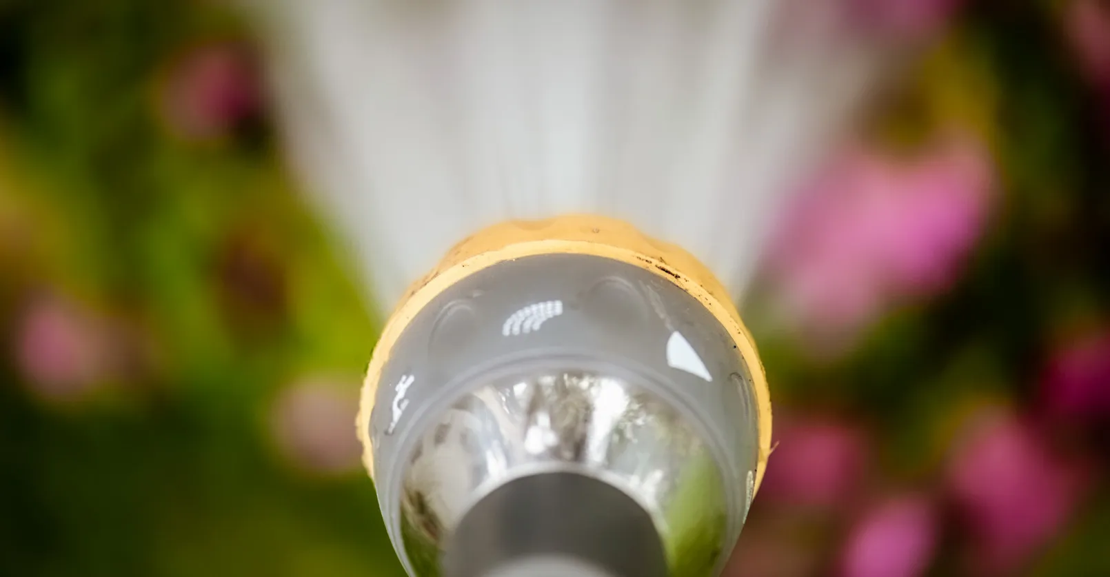 Interesting Views of Inanimate Objects
