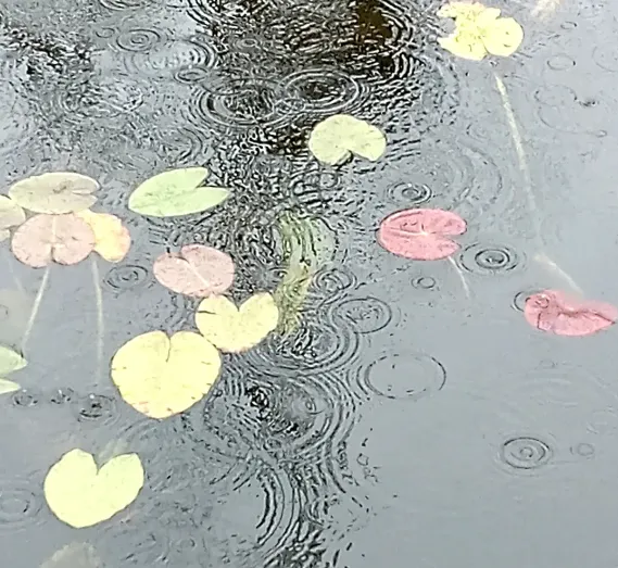 Evidence of Rain