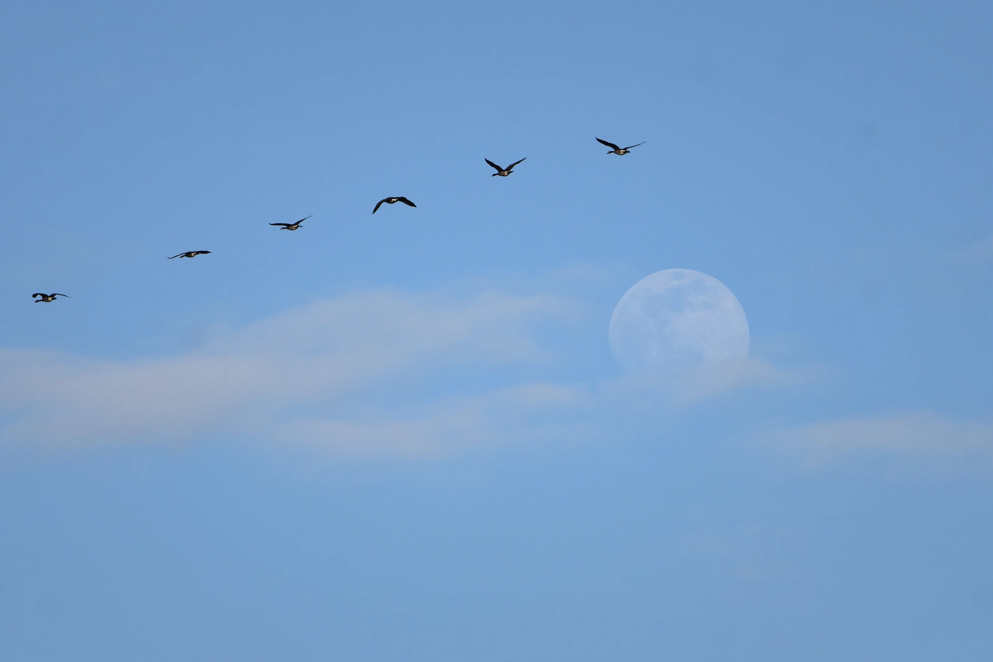 Things Beside or In Front of the Moon