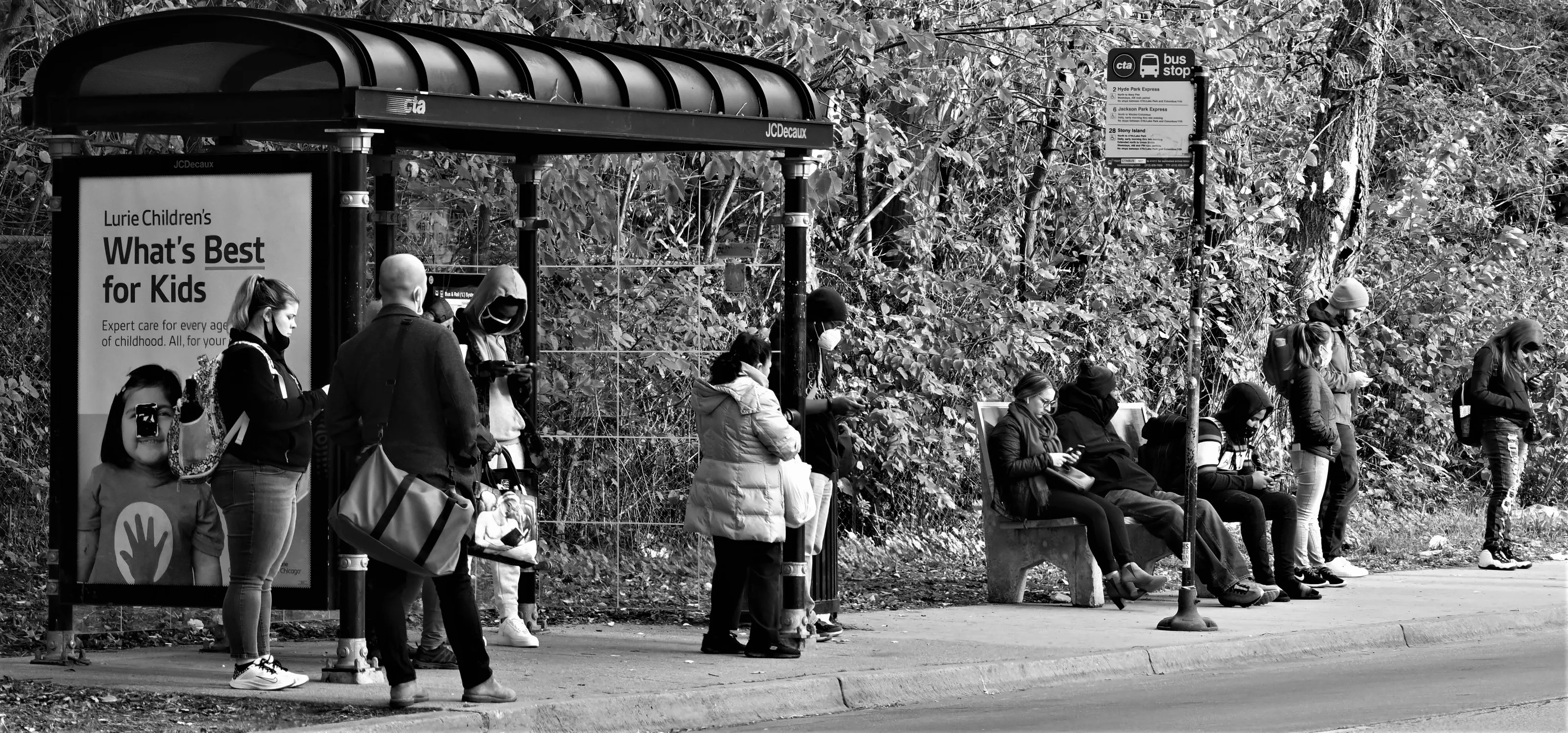 Bus Stops