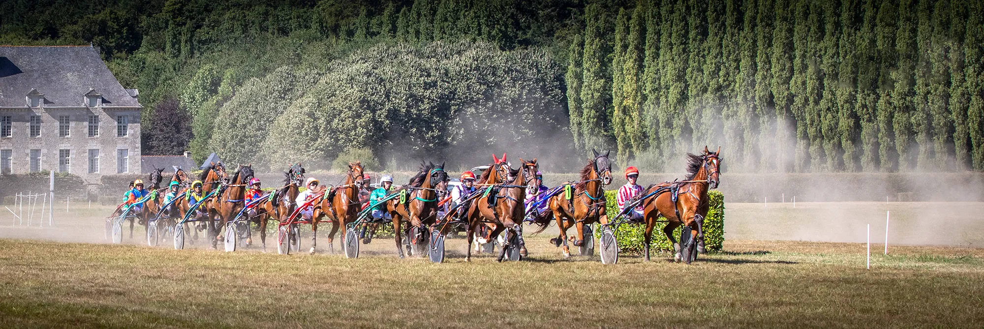 Working Horses