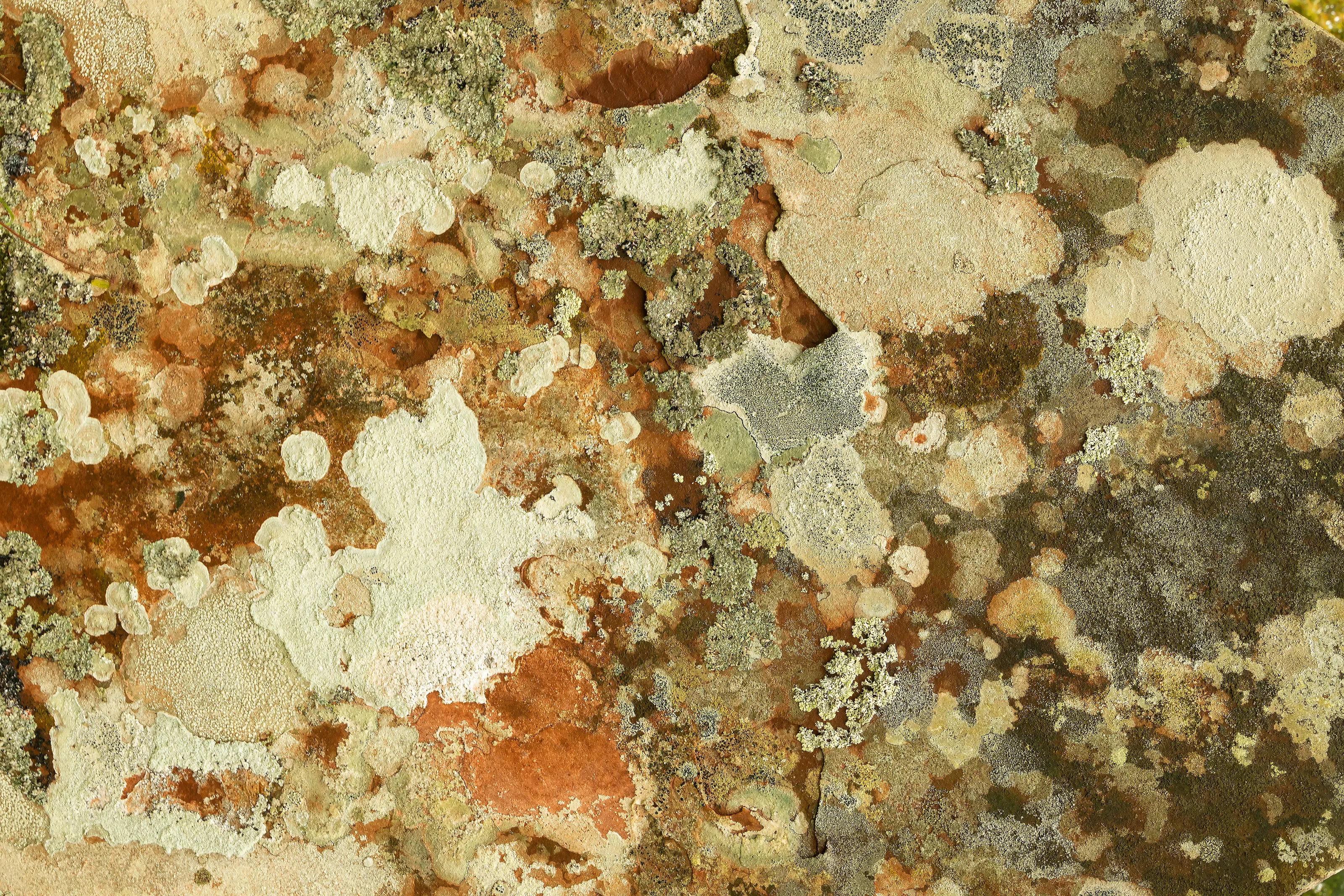 Colourful Textures Filling the Frame