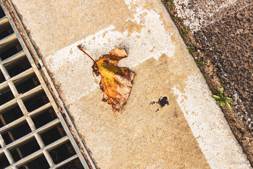 Street Abstracts