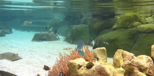 Underwater