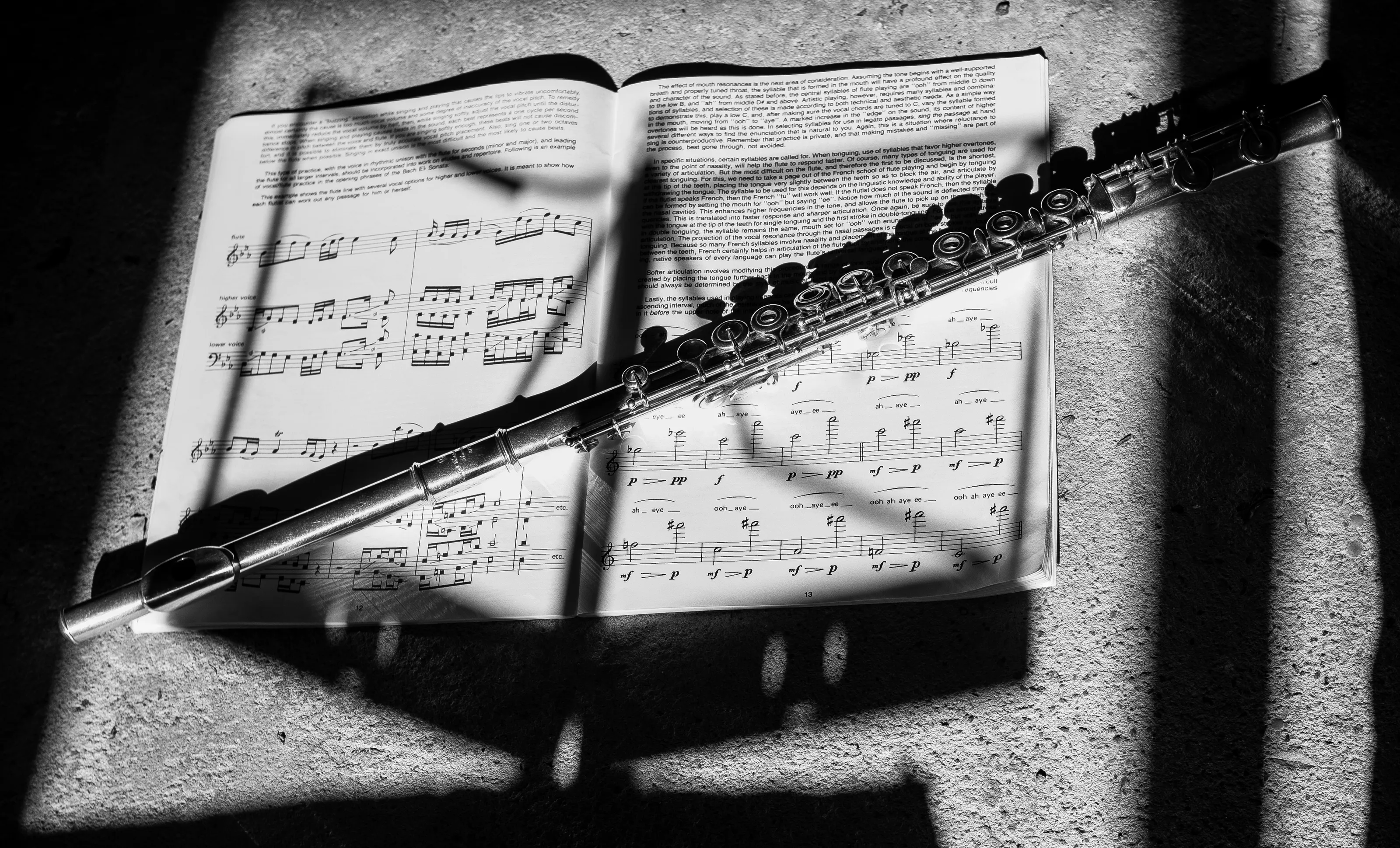 Woodwind and Brass Musical Instruments