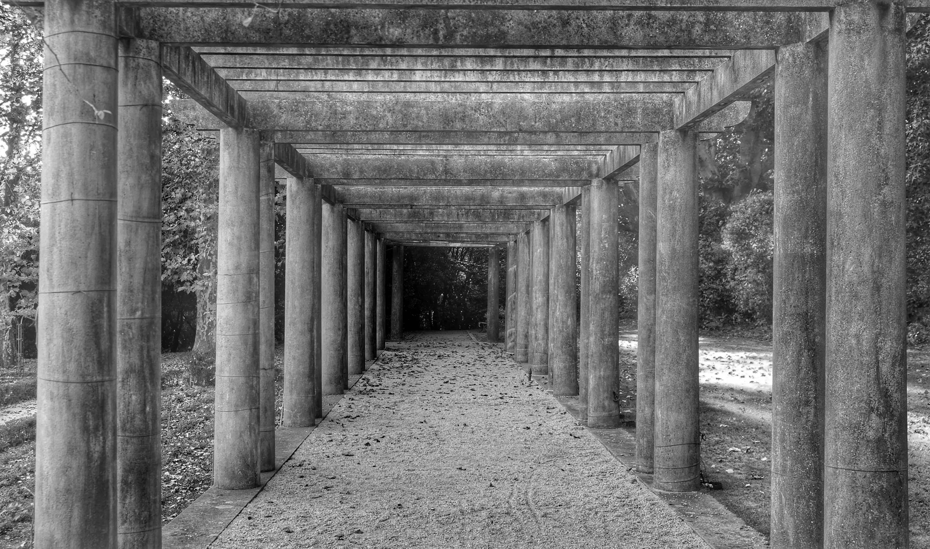 Black and White Abstracts (no editing abstracts)