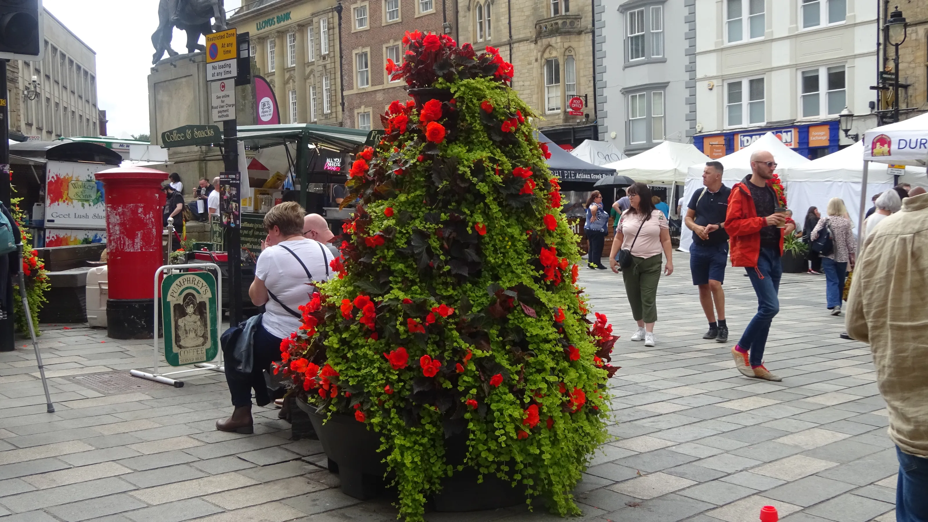 Public Spaces with Floral Displays (in colour)