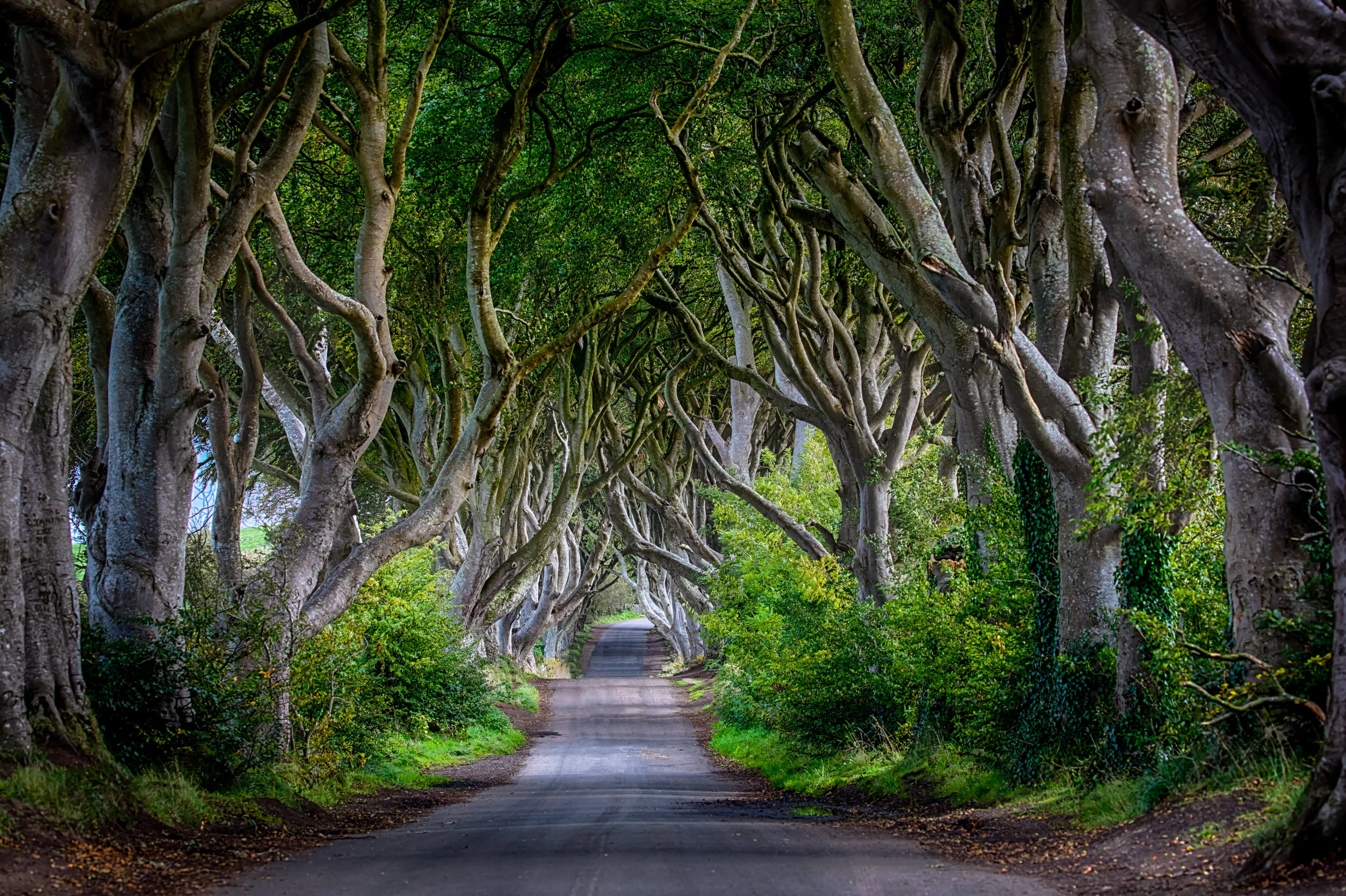 Northern Ireland