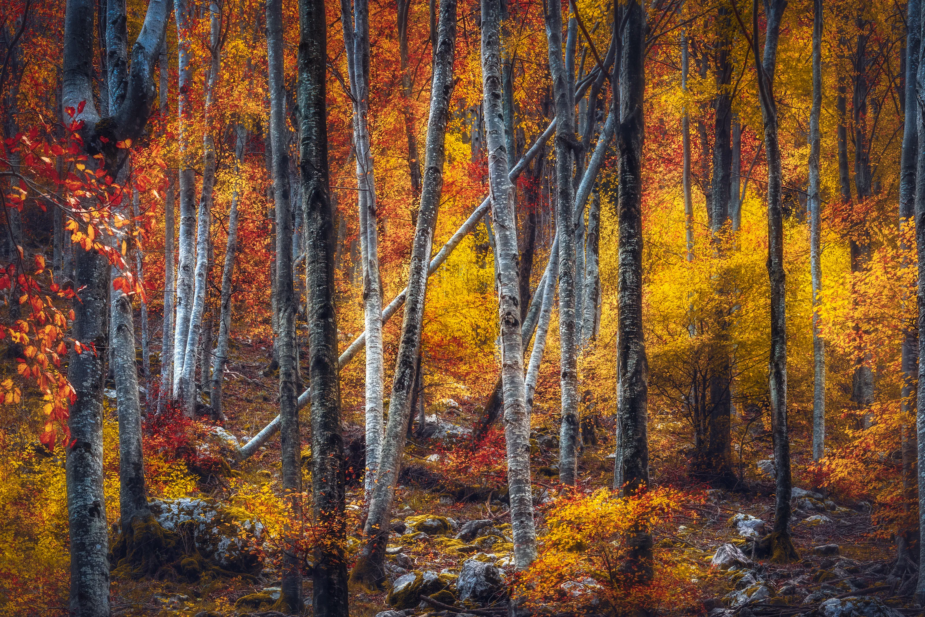 Abstracts in Nature