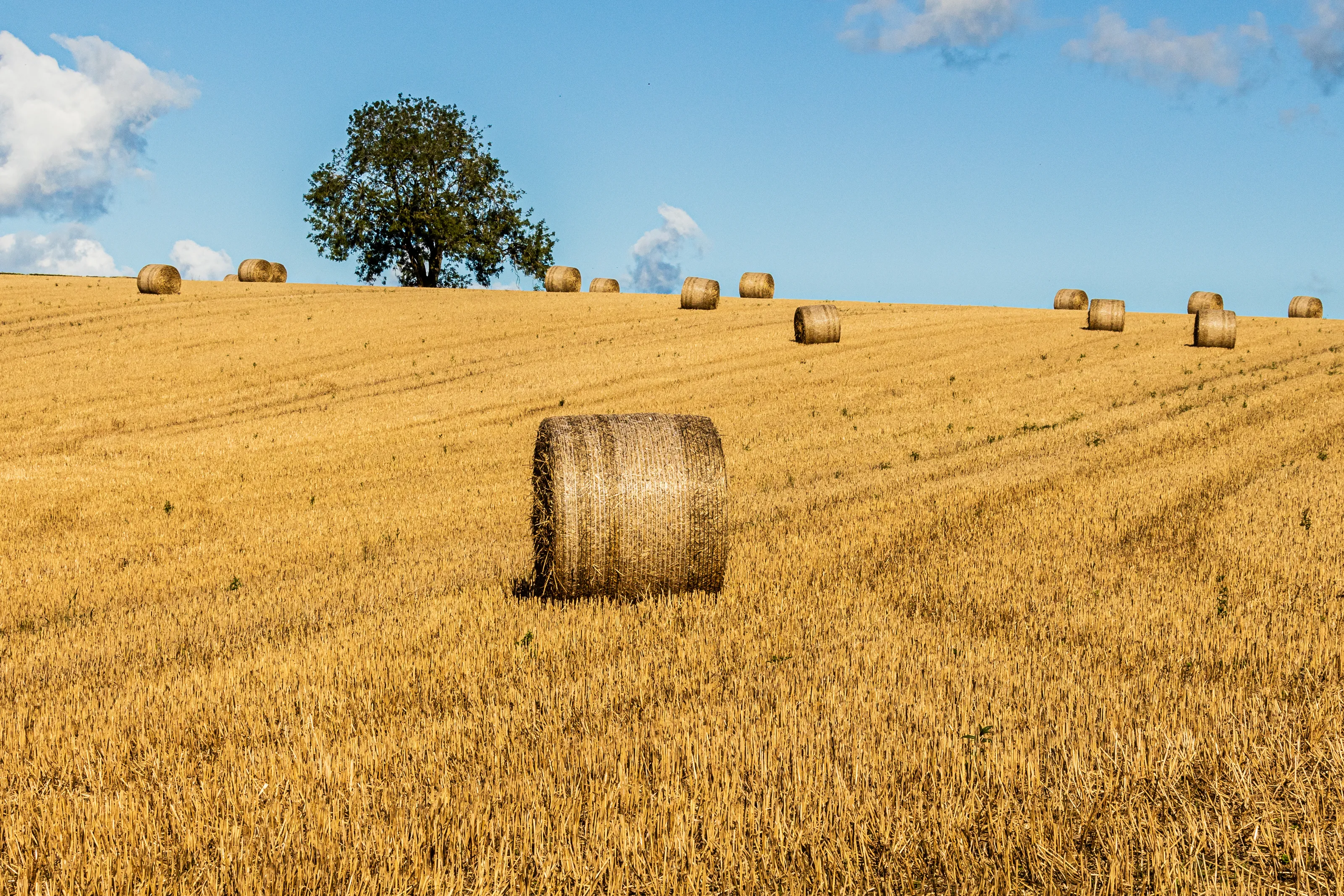 Haystacks and Hay Bales (in colour)