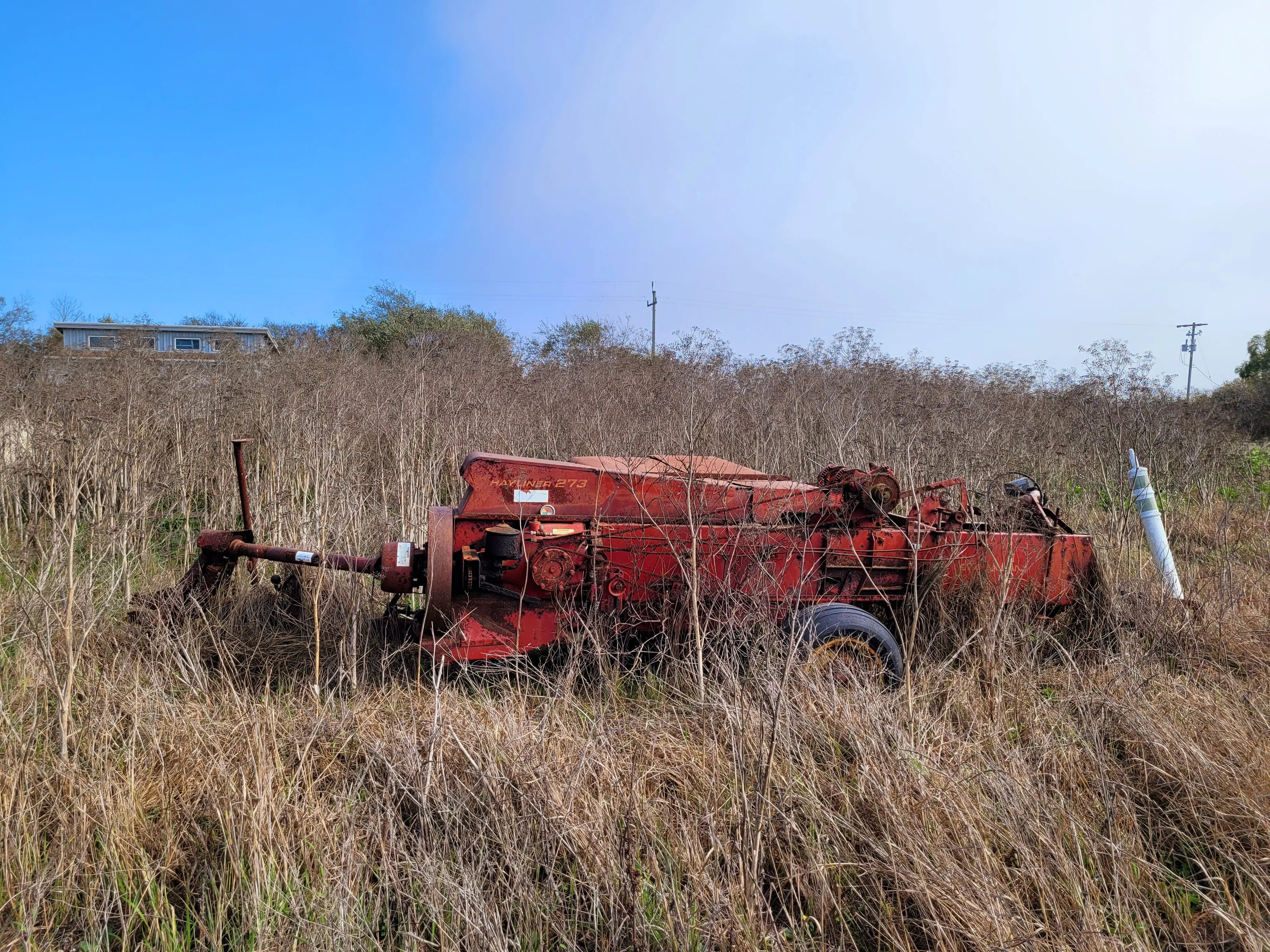 Abandoned Vehicles