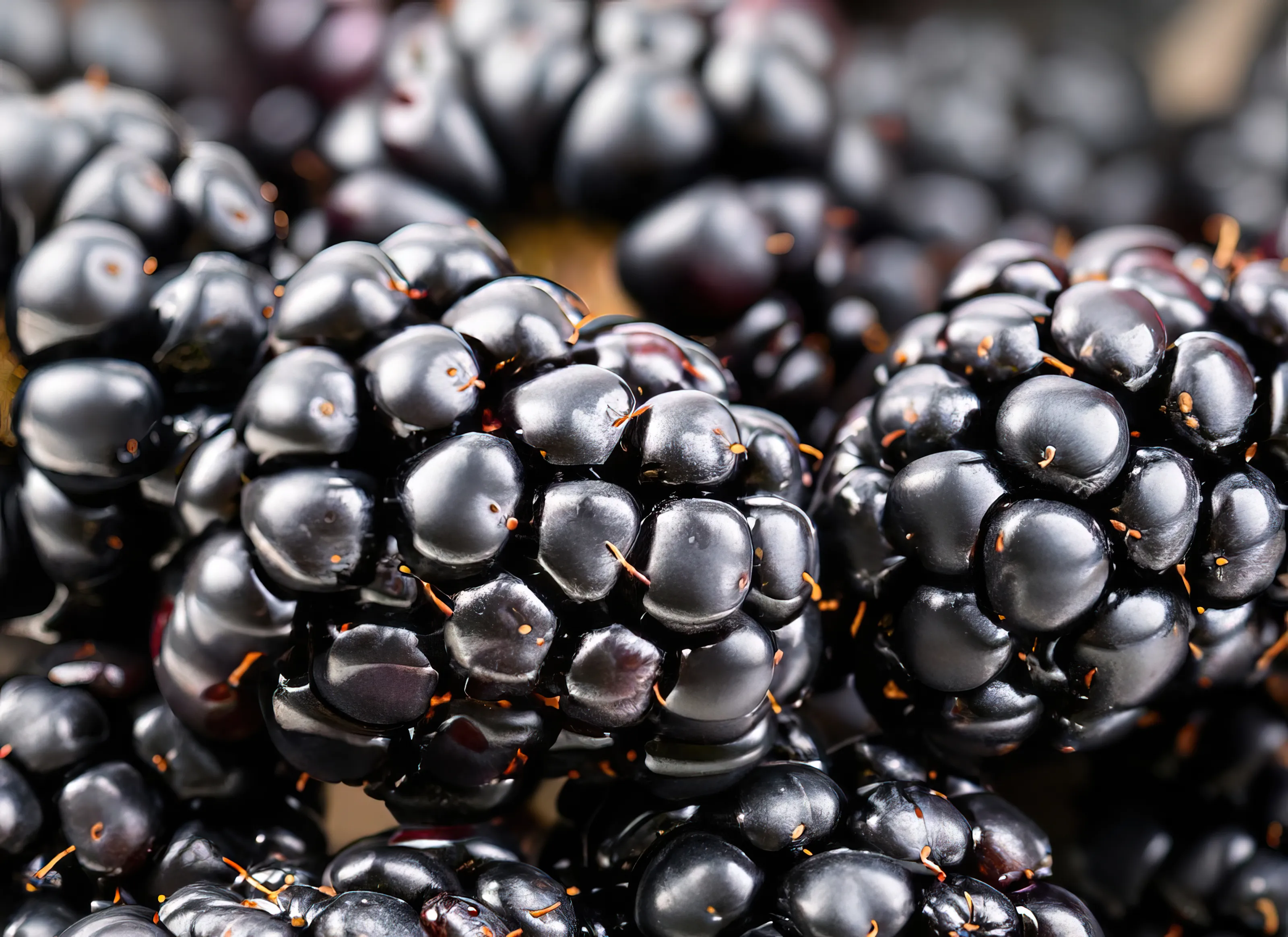 Blackberries