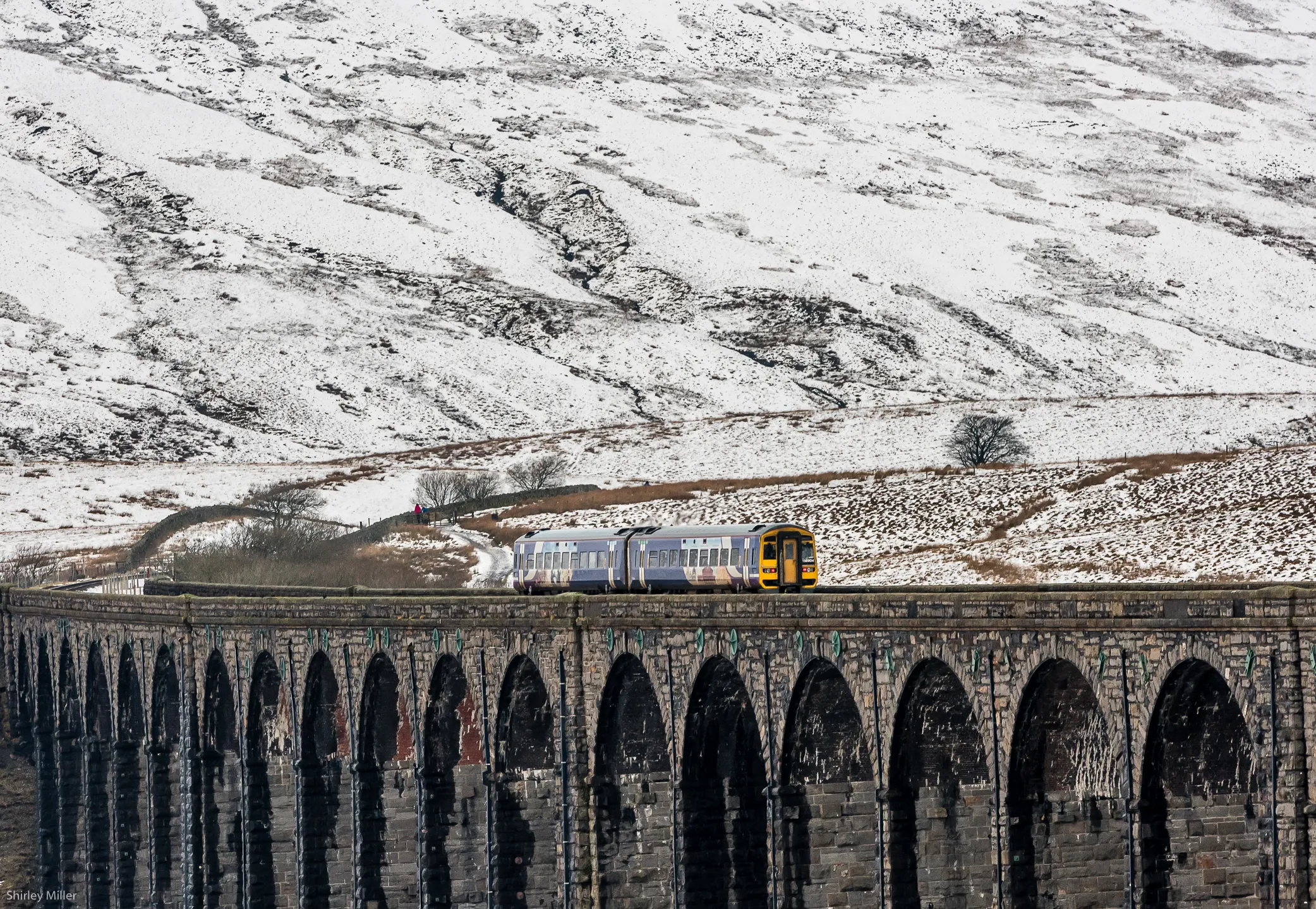 Railways in the Landscape