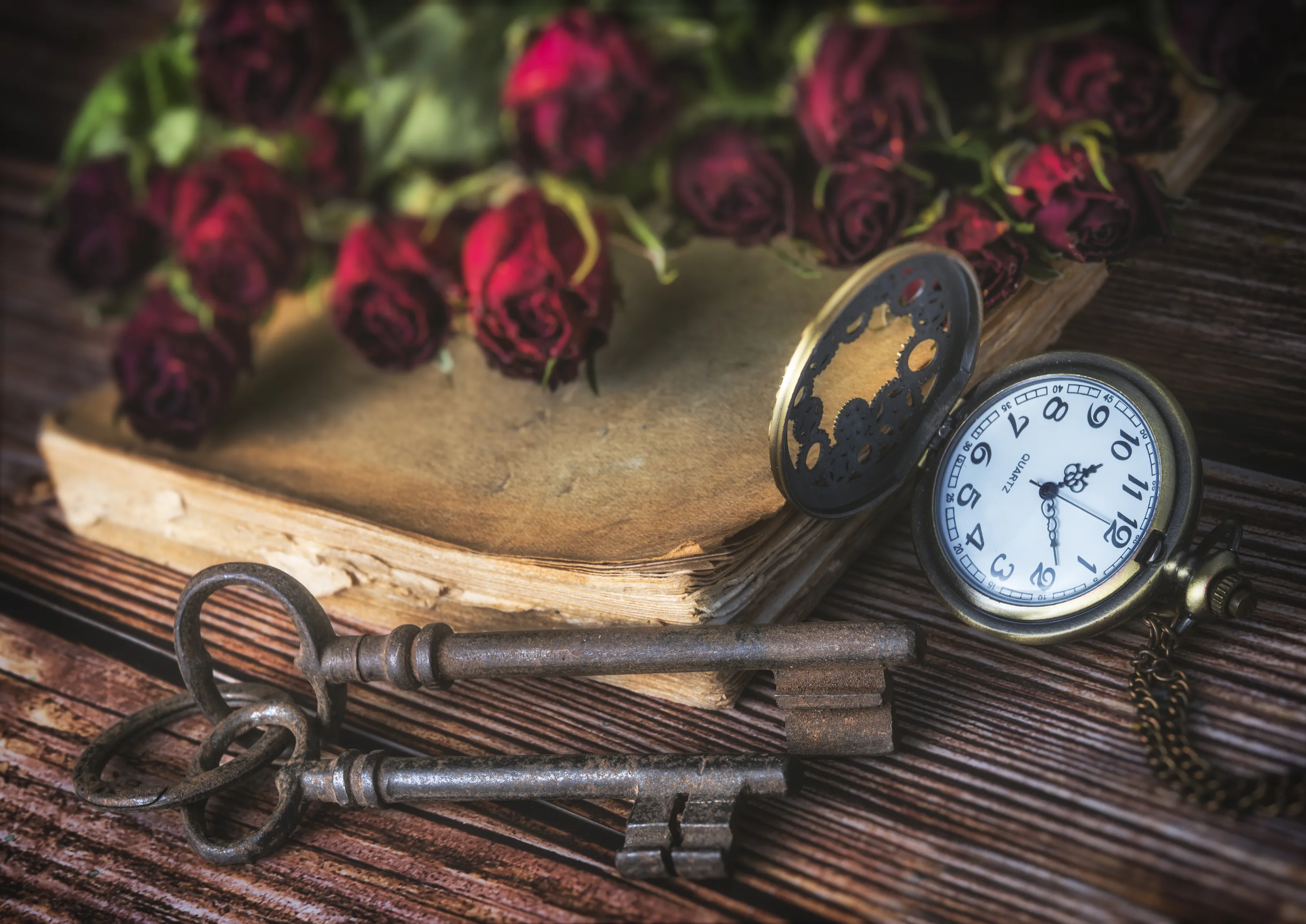 Still Life Compositions