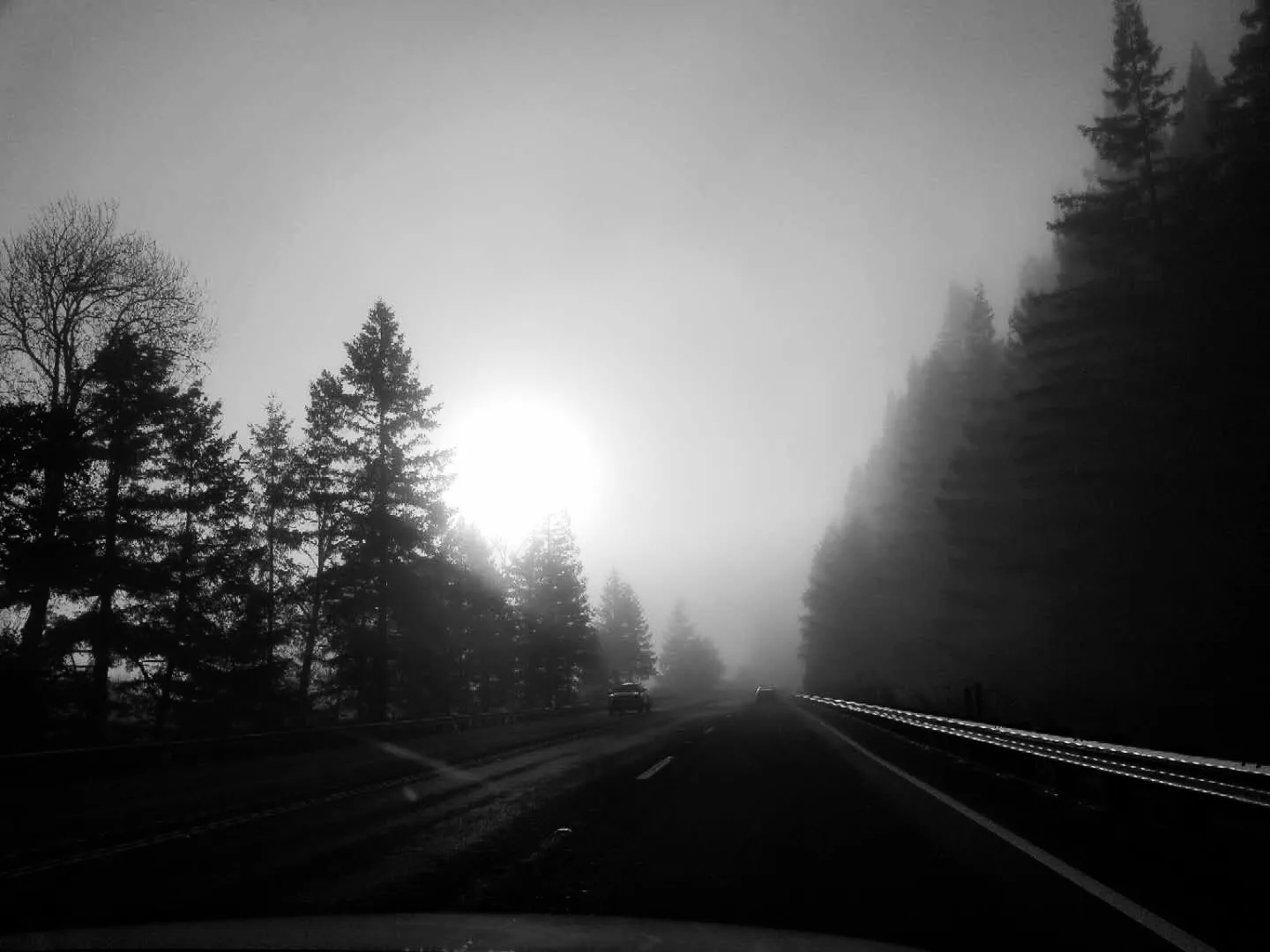 Fog and Mist