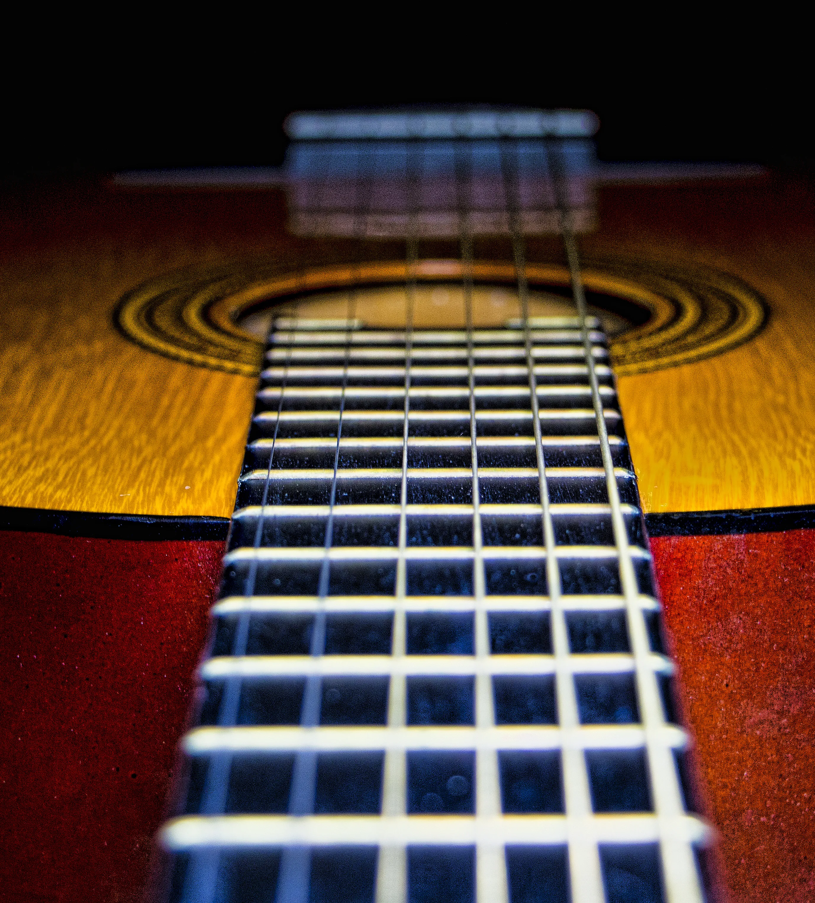Stringed Musical Instruments