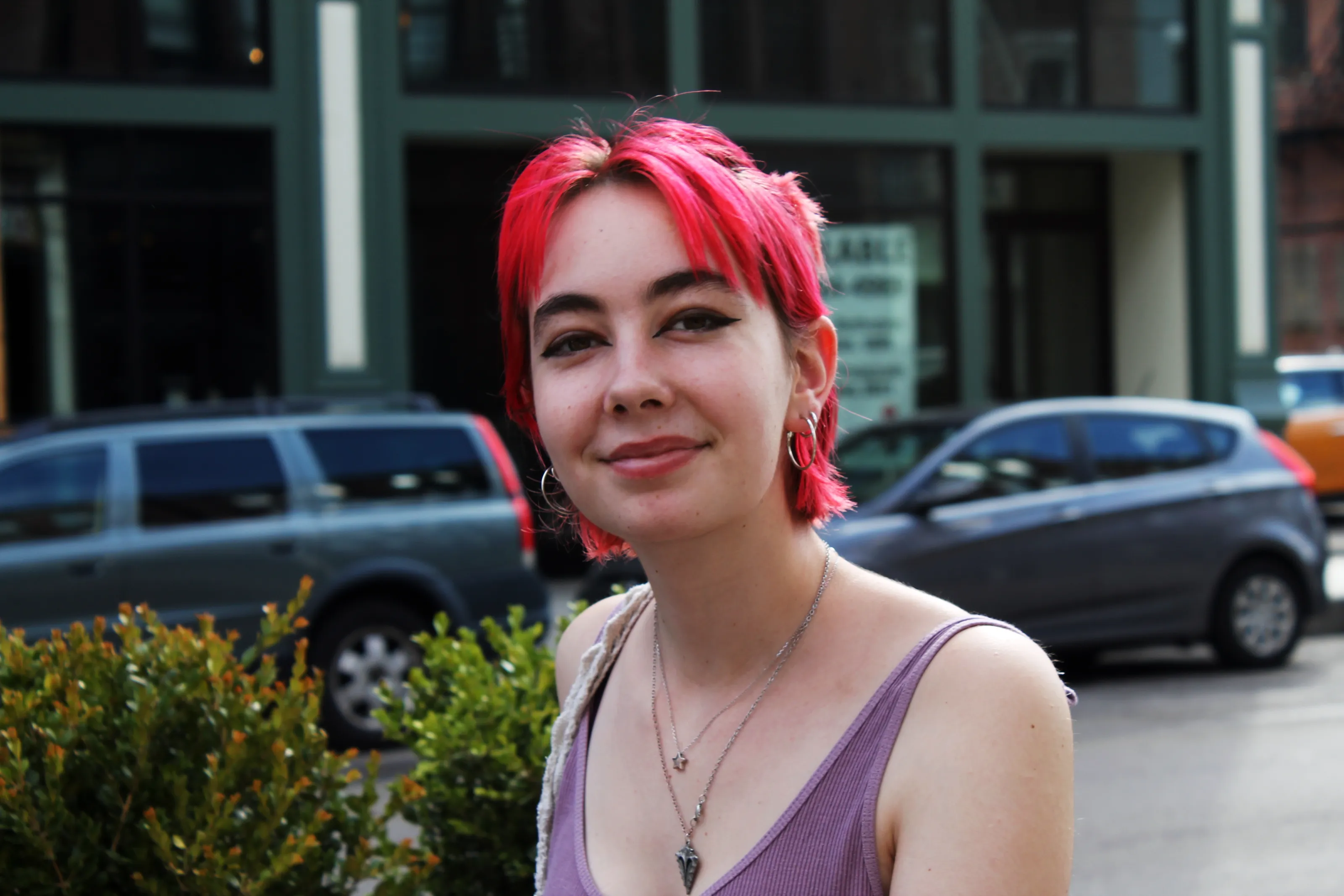 People with Unnaturally Coloured Hair (in colour)