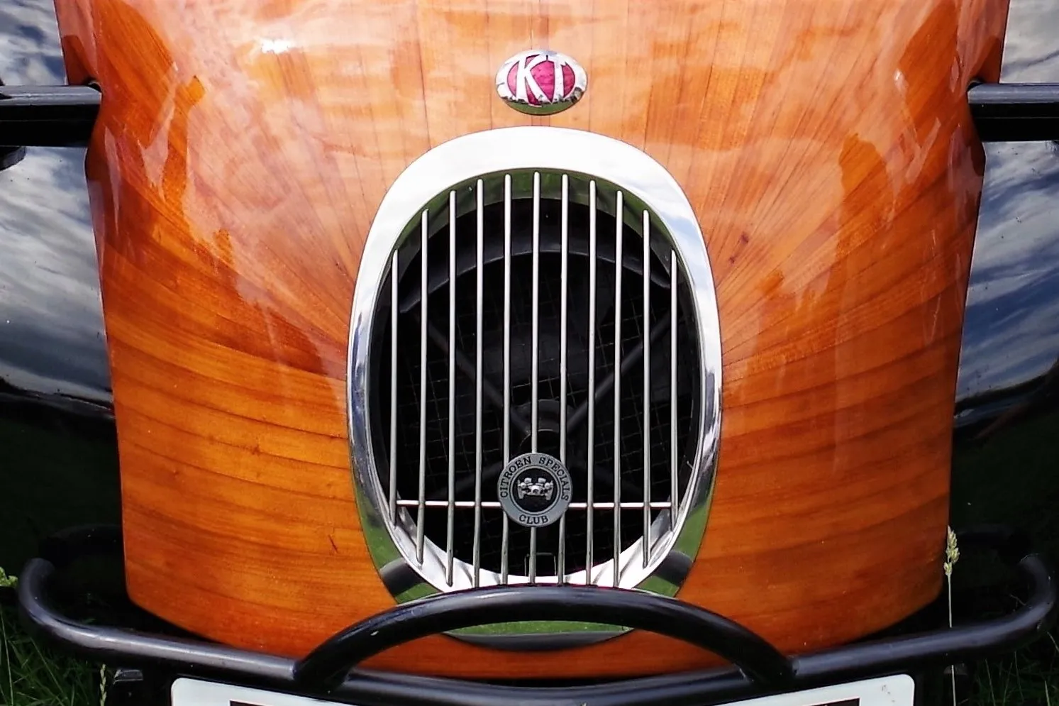 Vehicle Radiator Grilles
