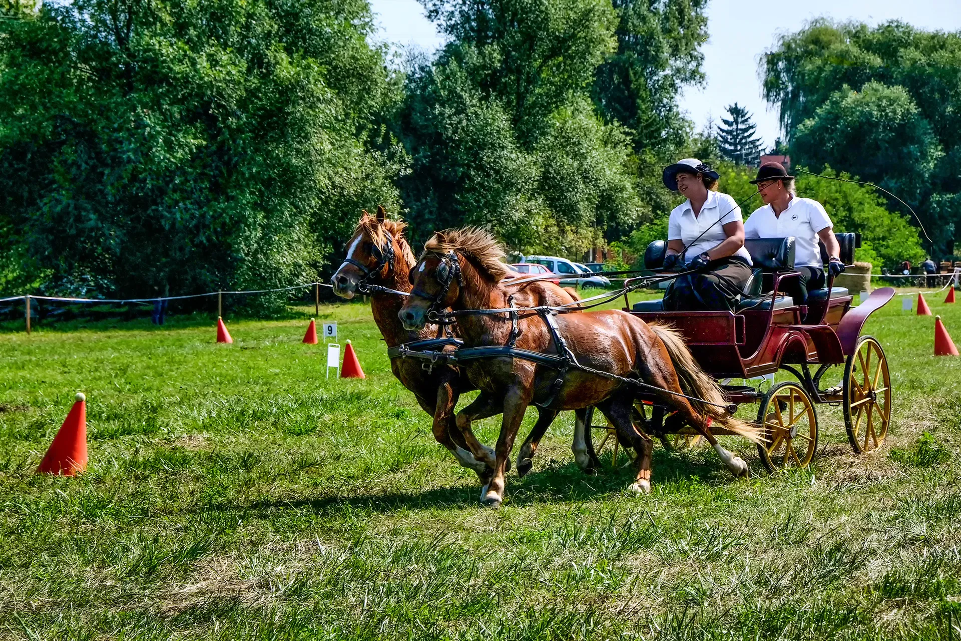 Horse Events