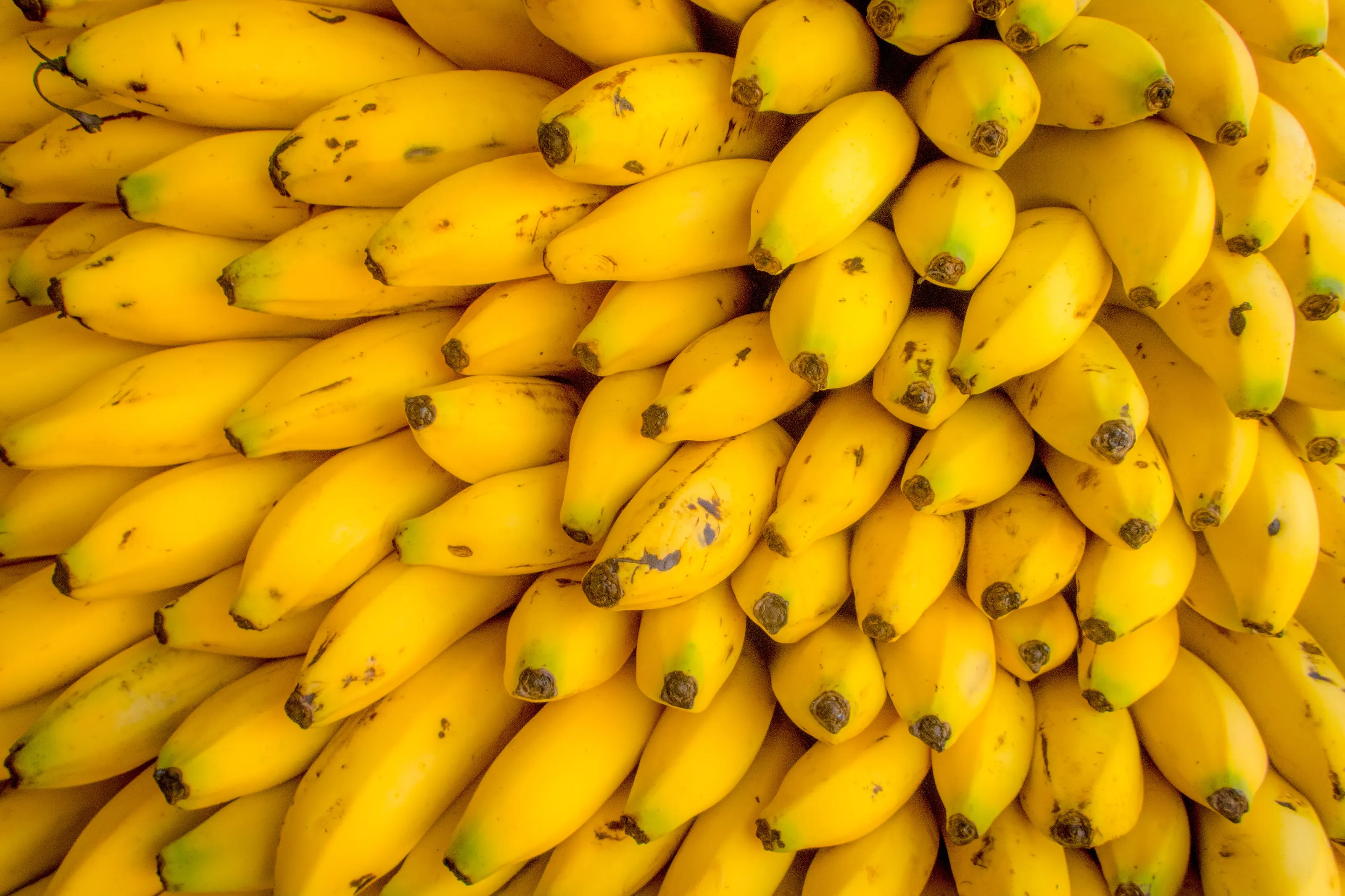 Bananas