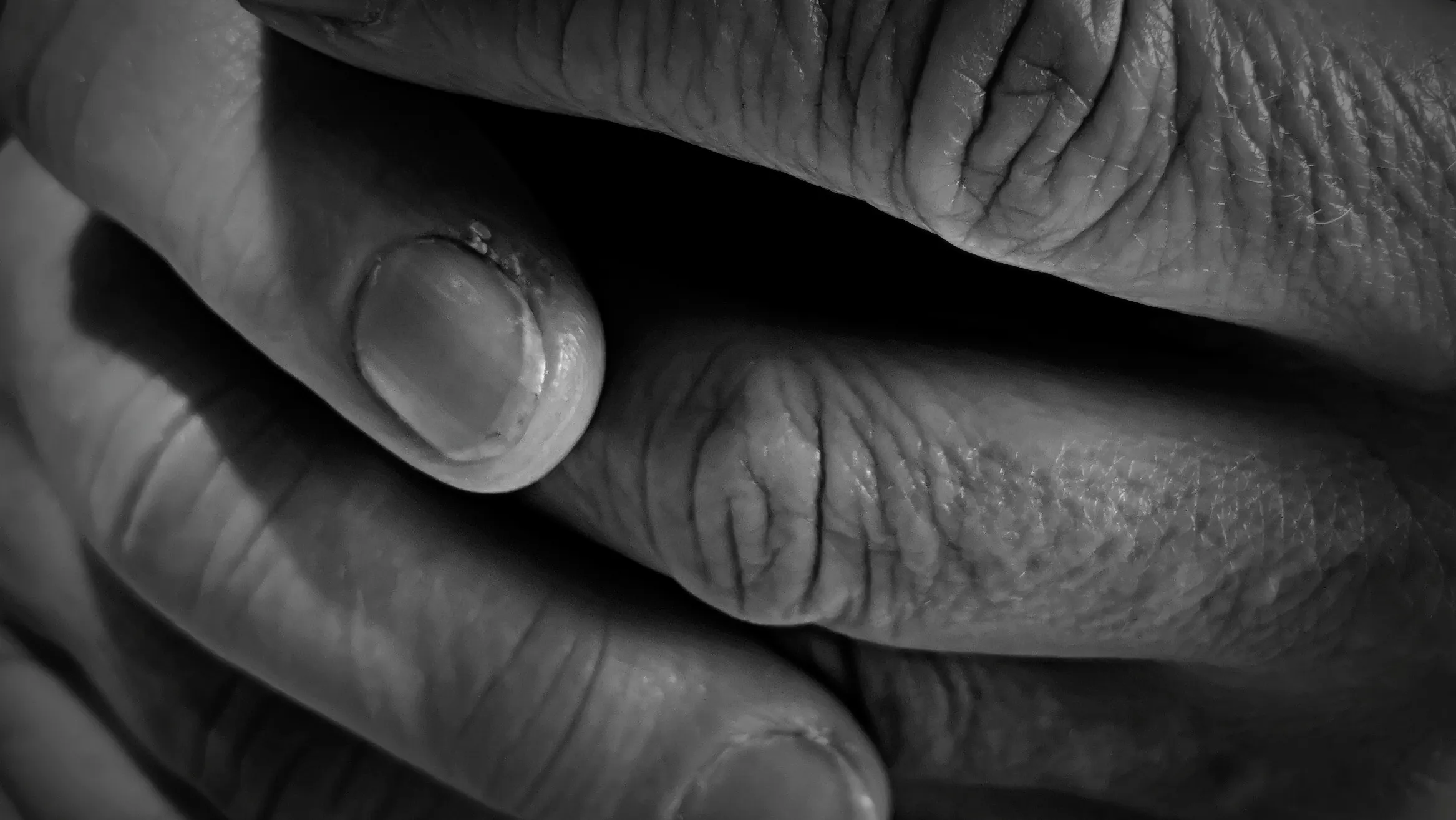 Human Fingers in Close-up
