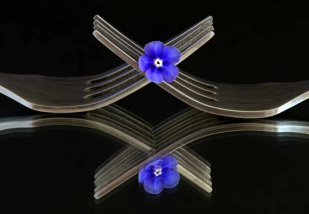 Cutlery (forks, knives or spoons)