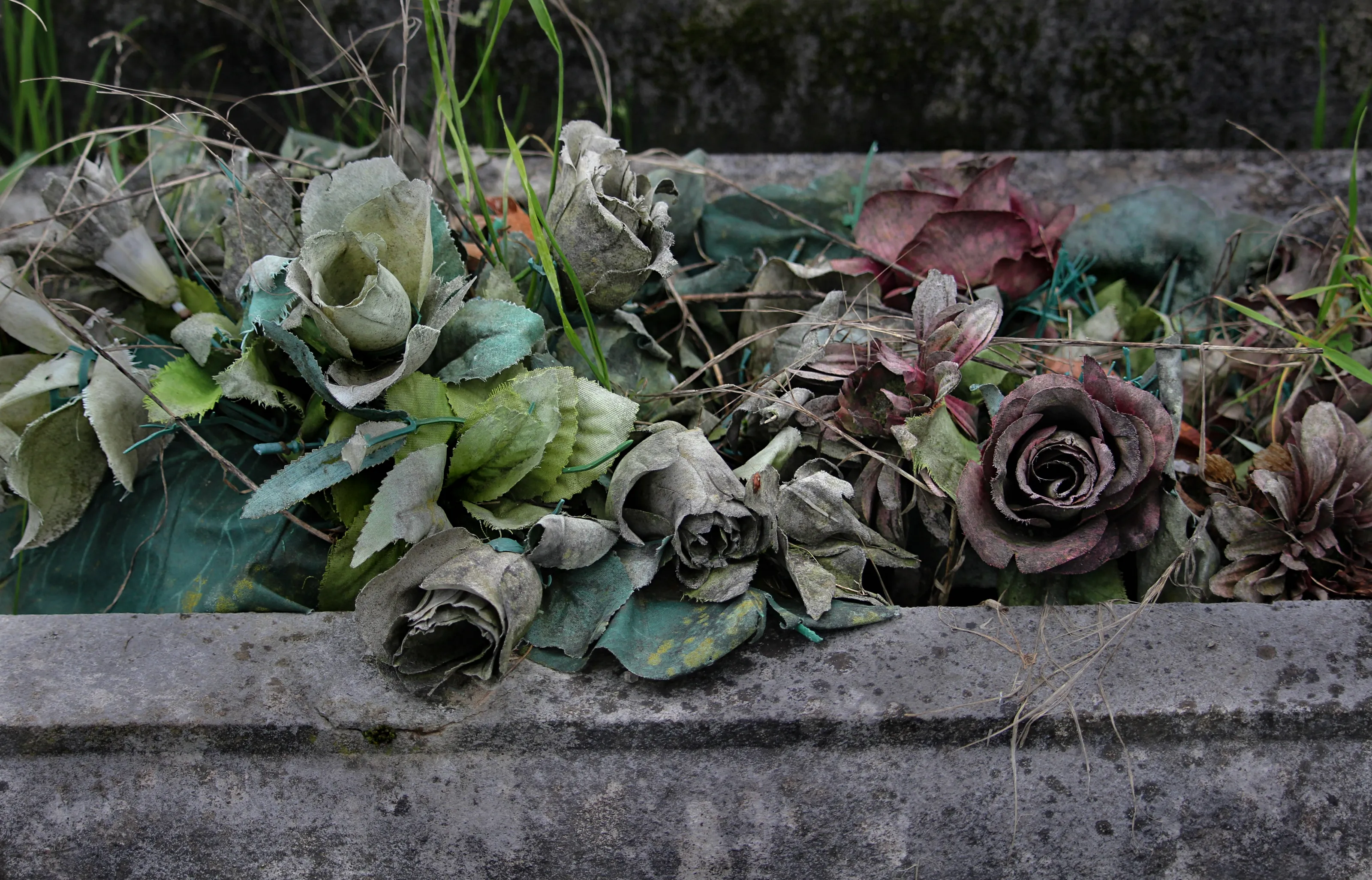 Death and Decay (no dead people or animals)