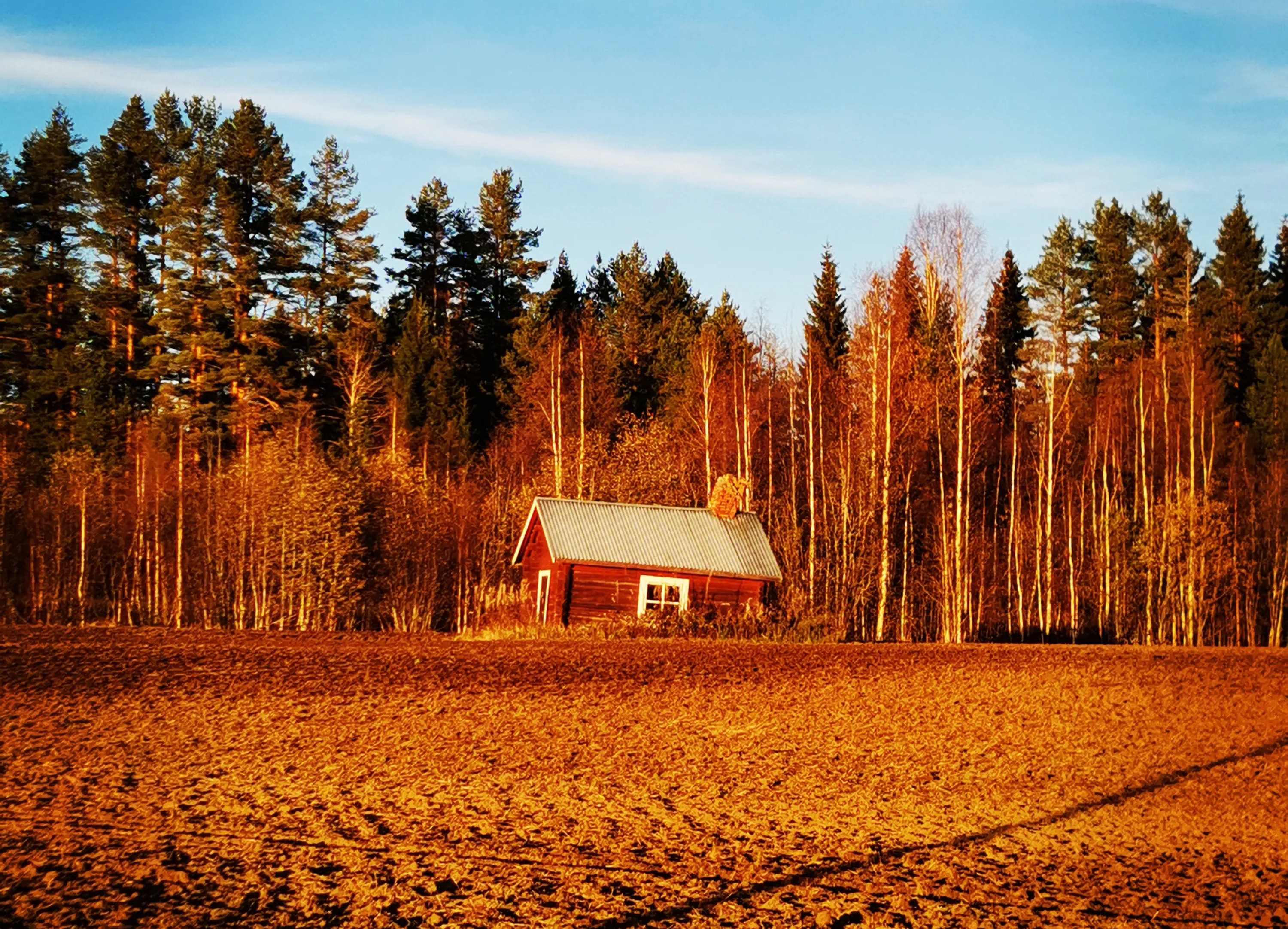Isolated Houses or Huts in a Forest